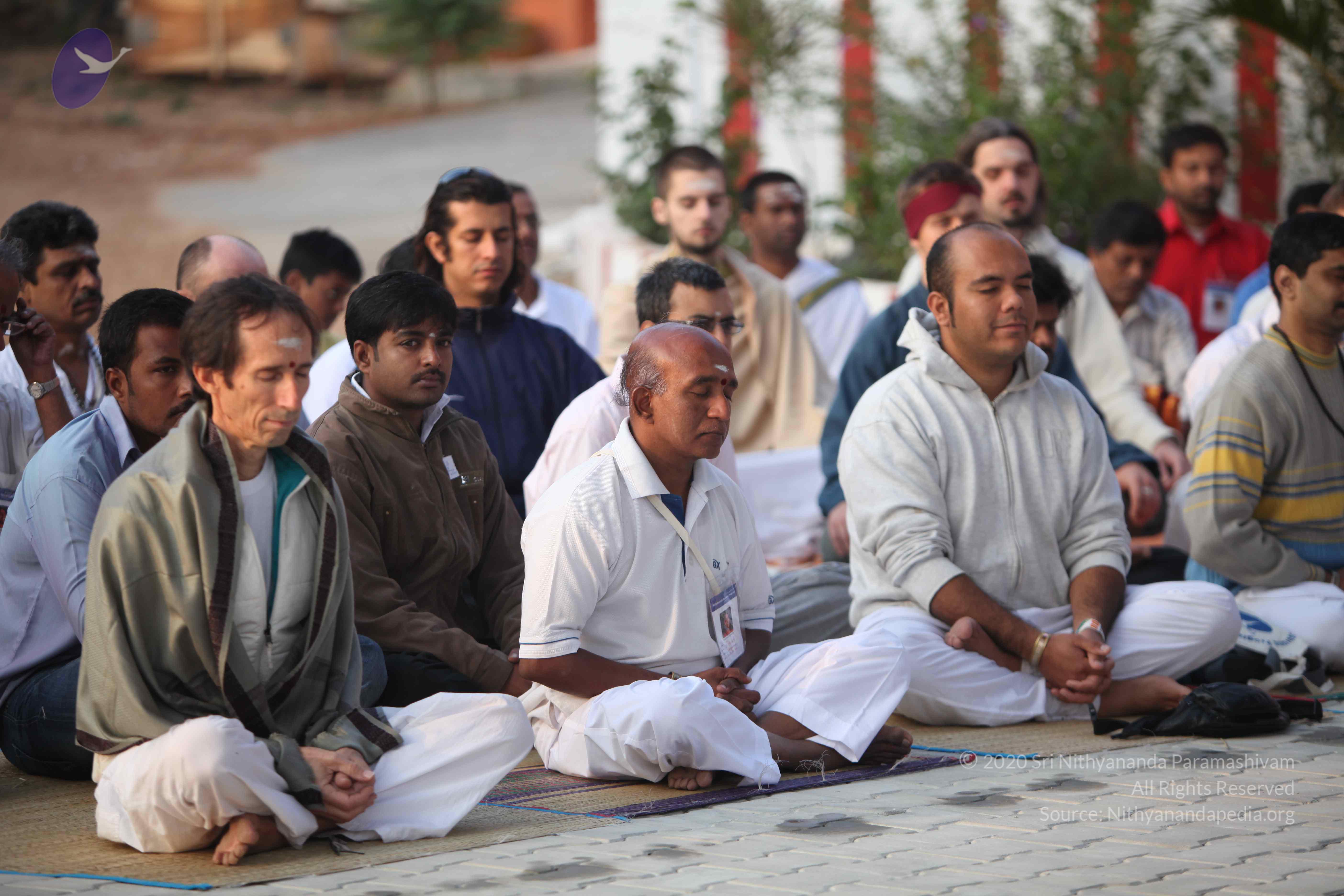 20110122_Photo_1303_IMG_2780_CMP_WM