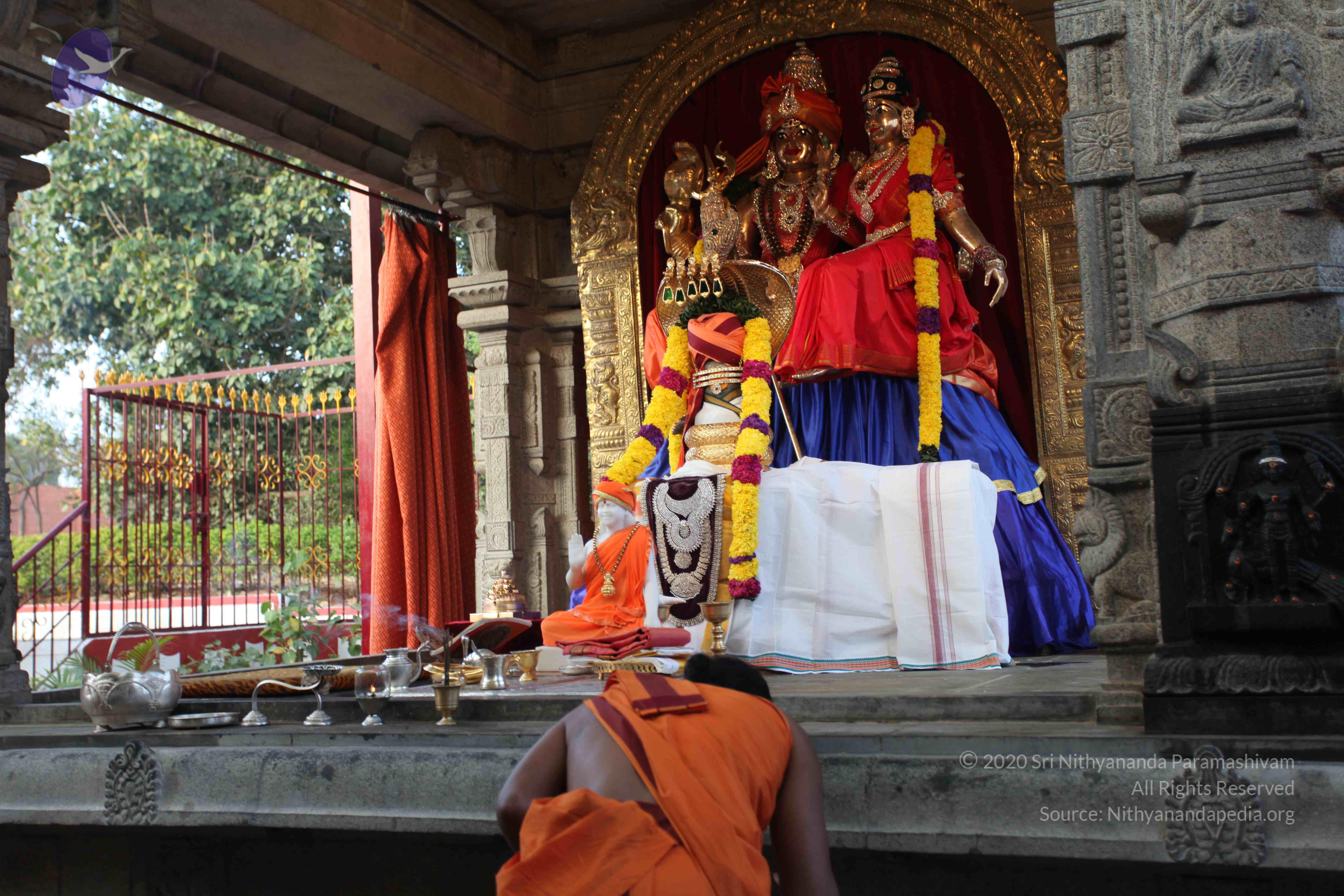 20110122_Photo_1305_IMG_2754_CMP_WM