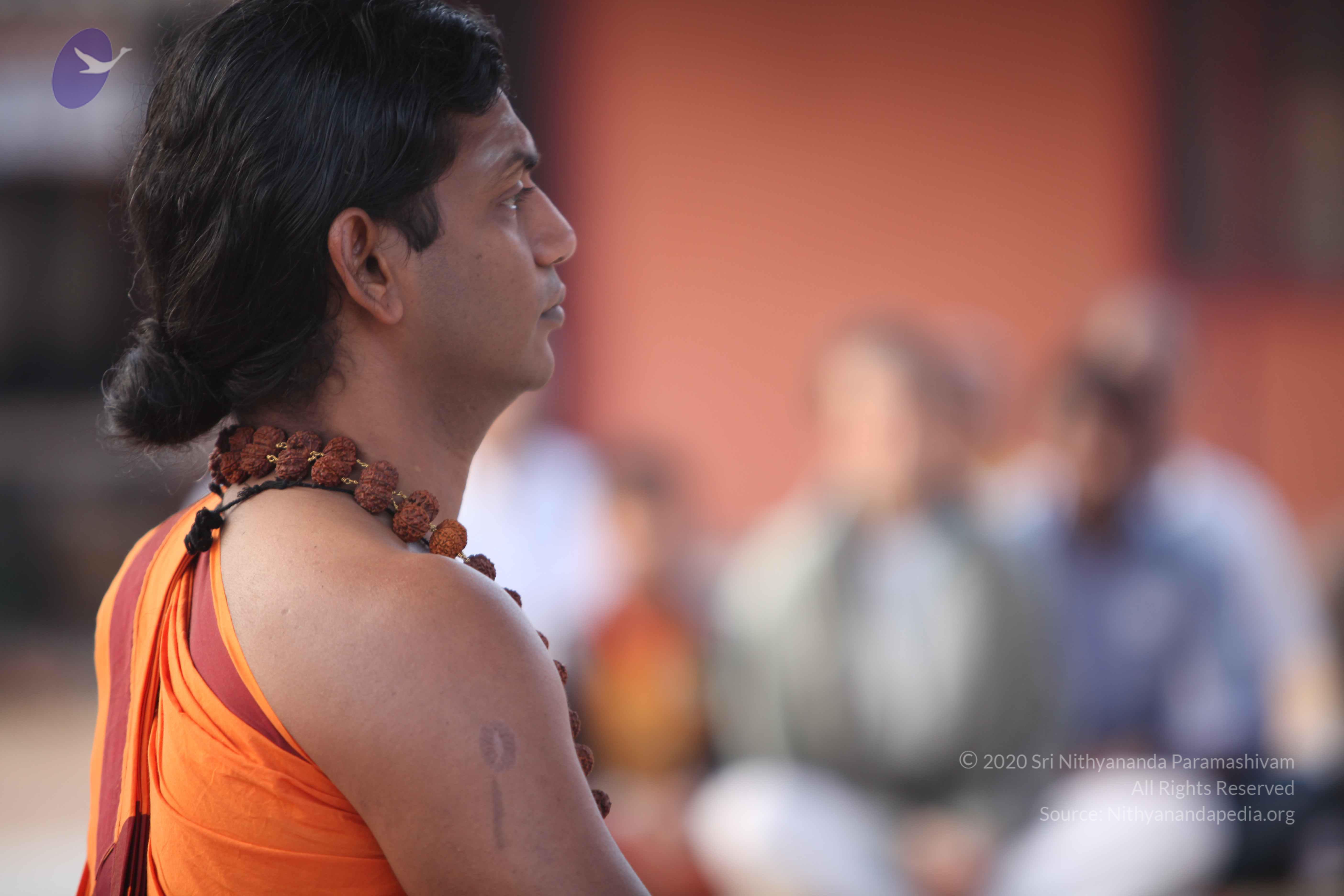 20110122_Photo_1307_IMG_2763_CMP_WM