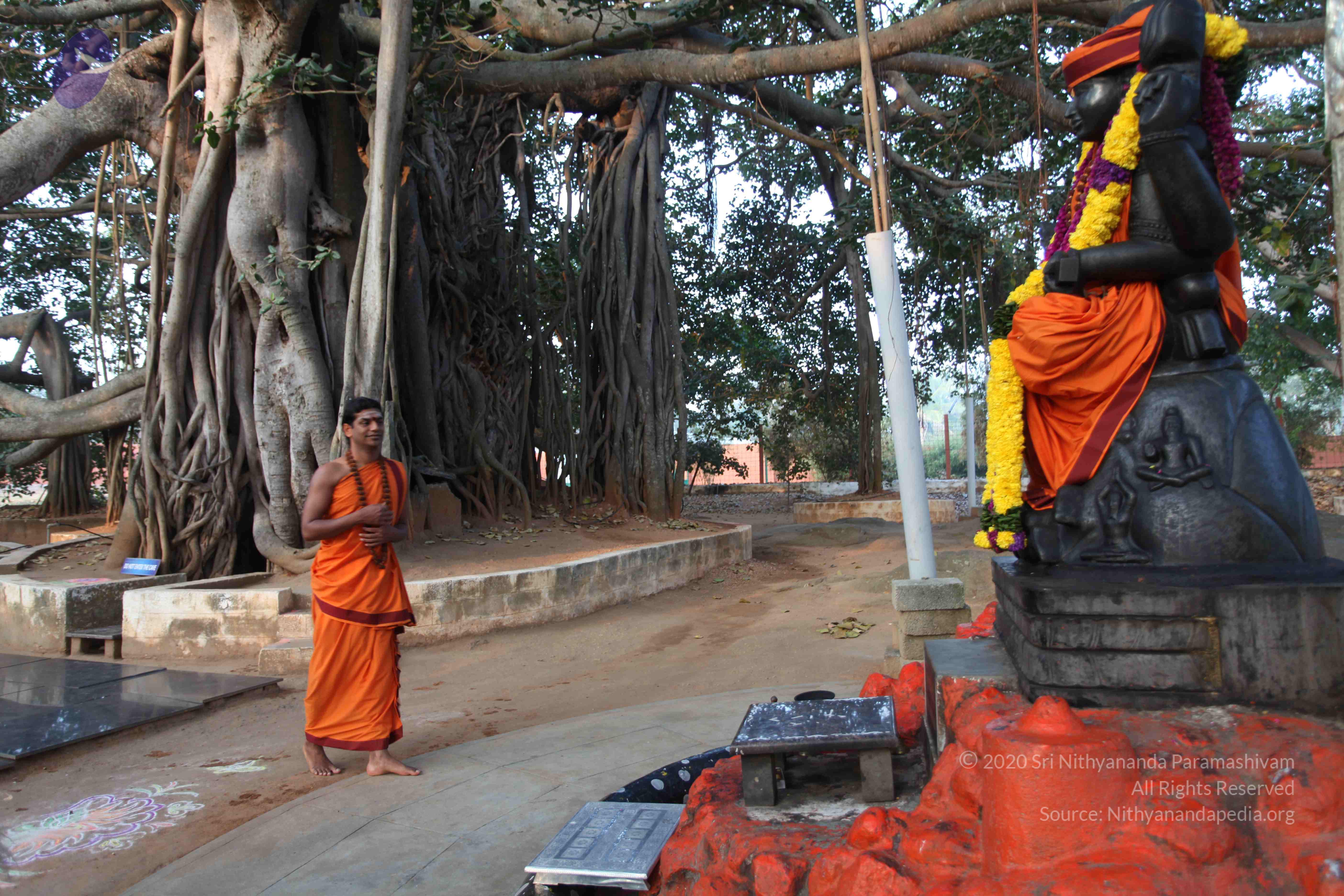 20110122_Photo_1309_IMG_2736_CMP_WM