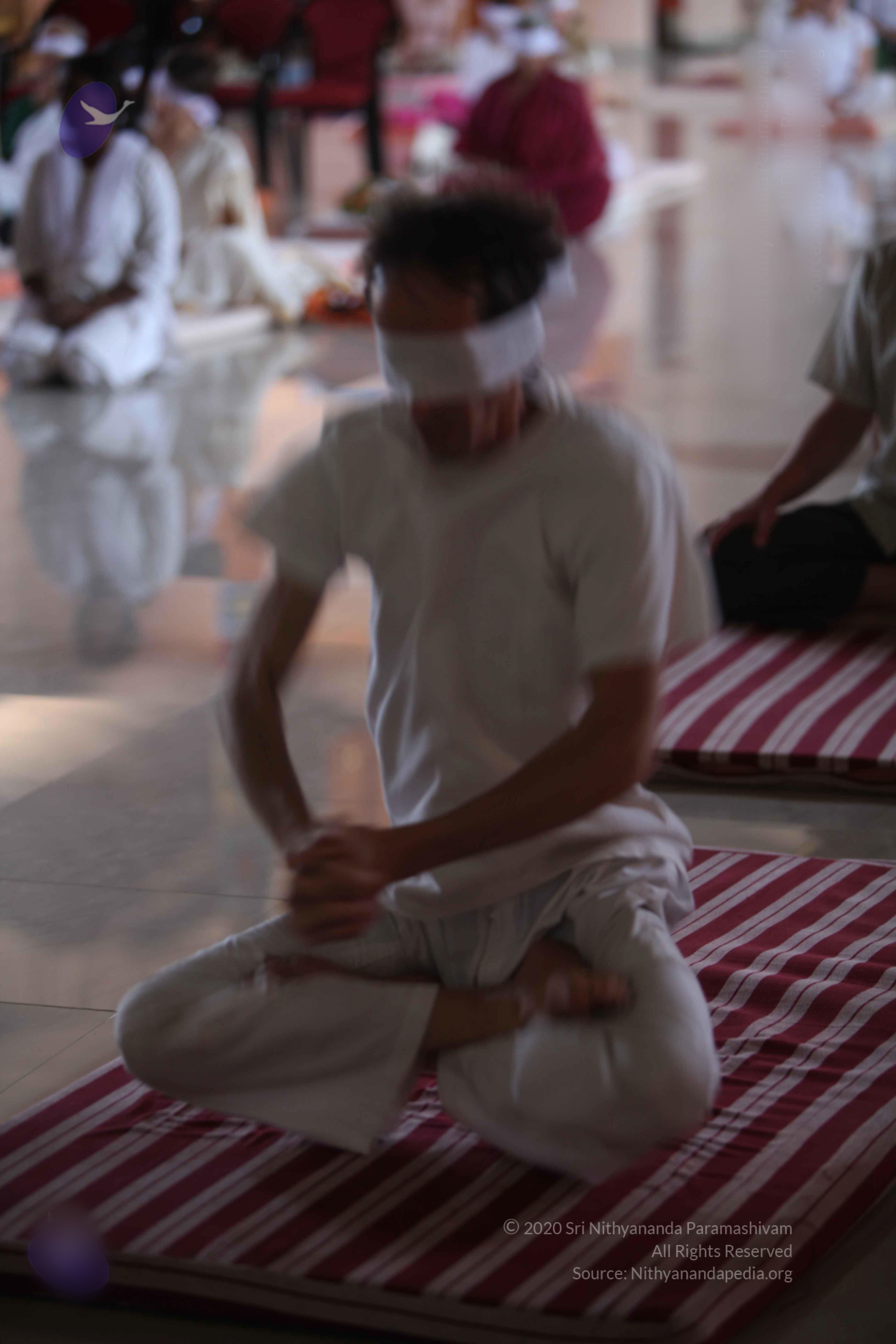 20110122_Photo_1310_batch_IMG_3013_CMP_WM