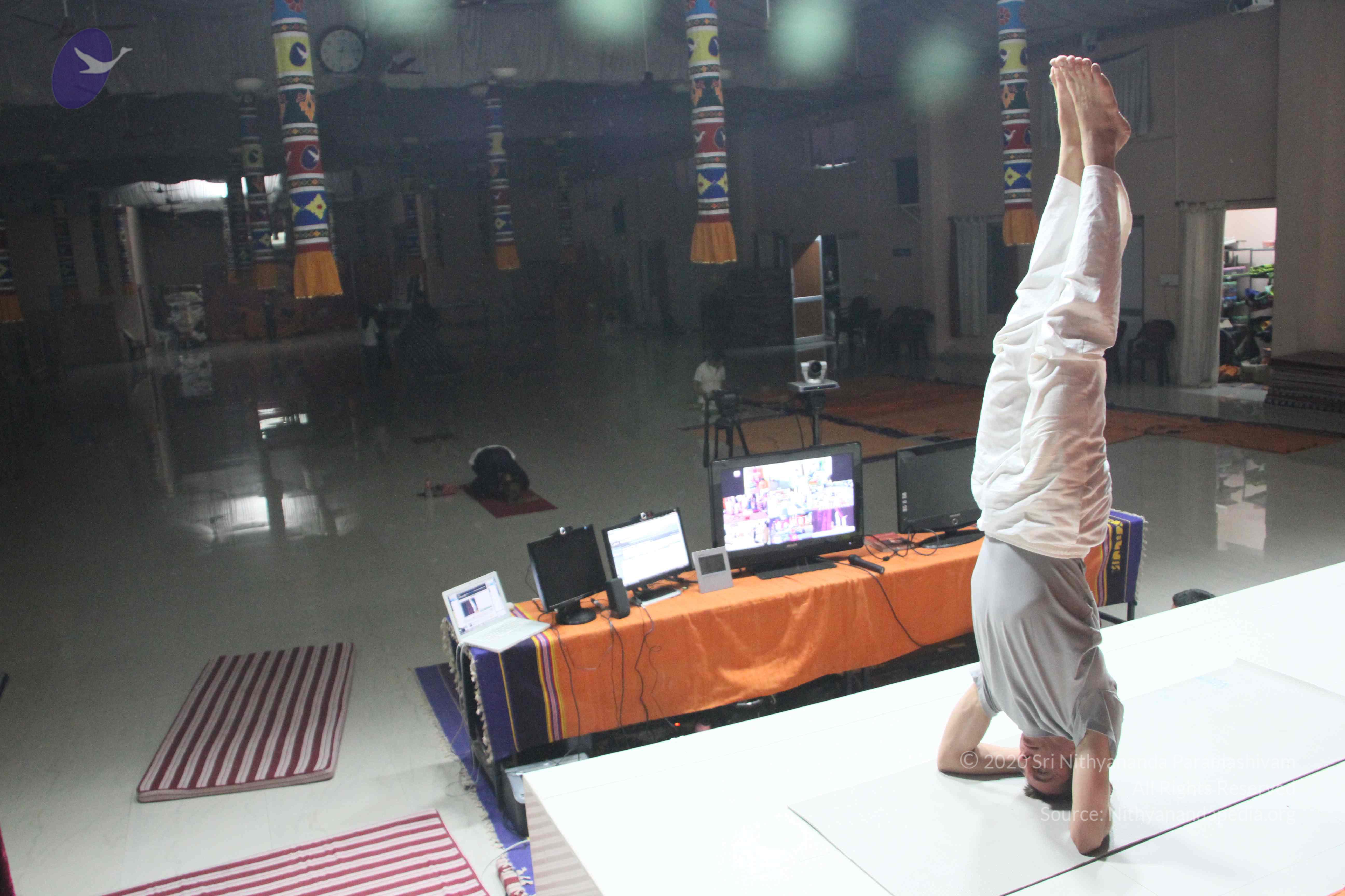 20110122_Photo_1033_IMG_1431_CMP_WM