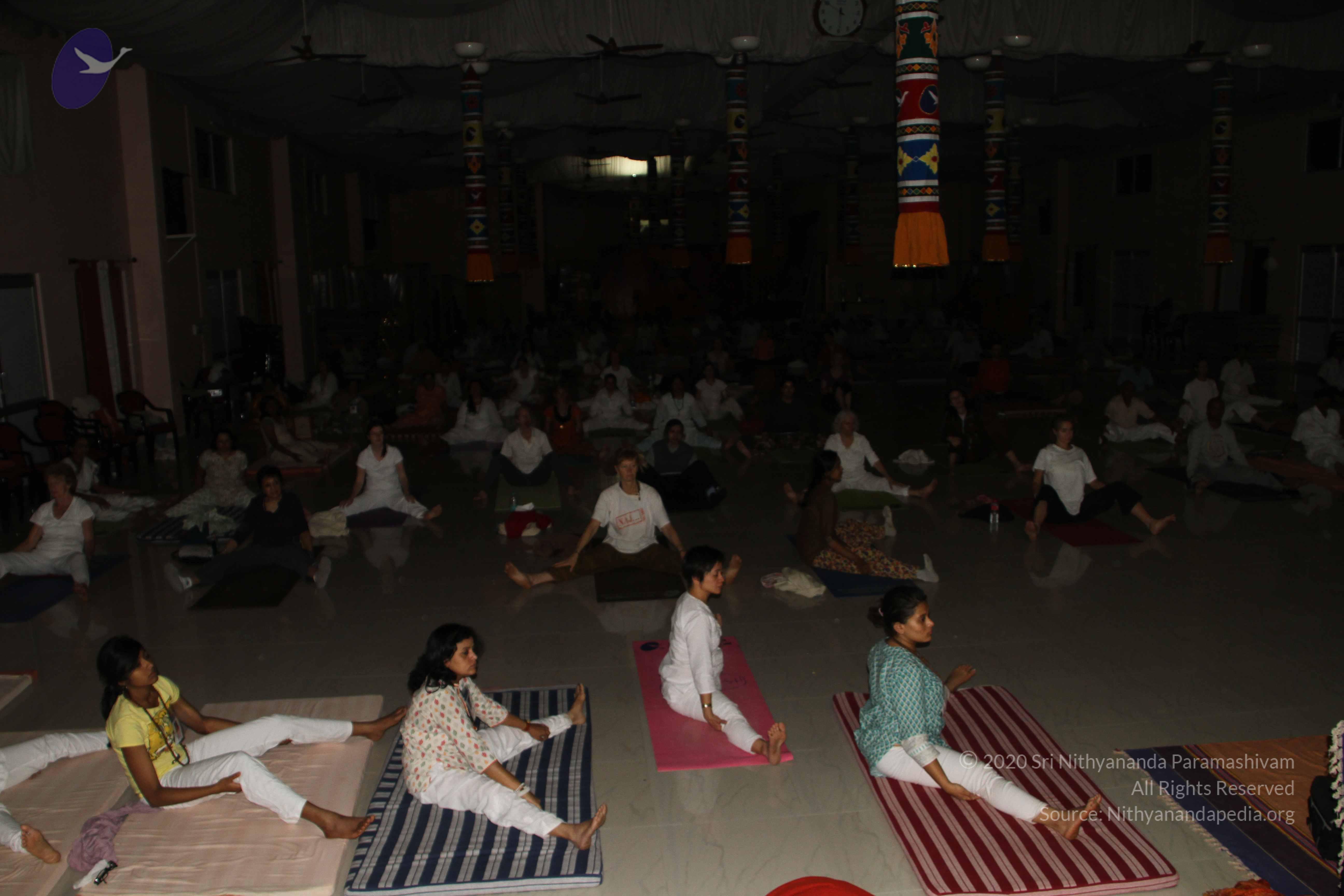 20110122_Photo_1042_IMG_1367_CMP_WM