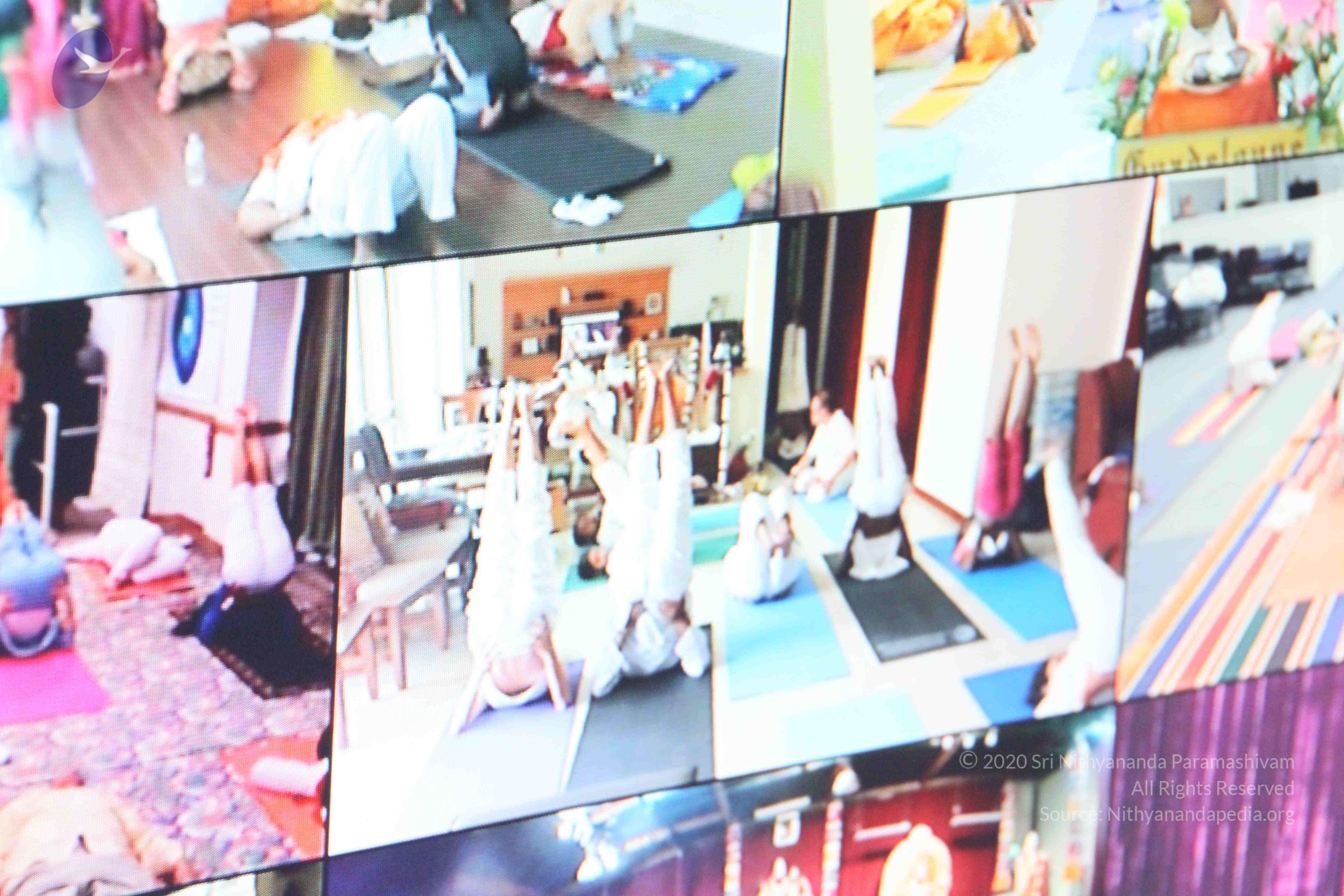 20110122_Photo_1047_IMG_1381_CMP_WM