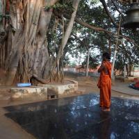 20110122_Photo_1010_IMG_2746_CMP_WM