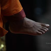 20110122_Photo_1041_IMG_3202_CMP_WM