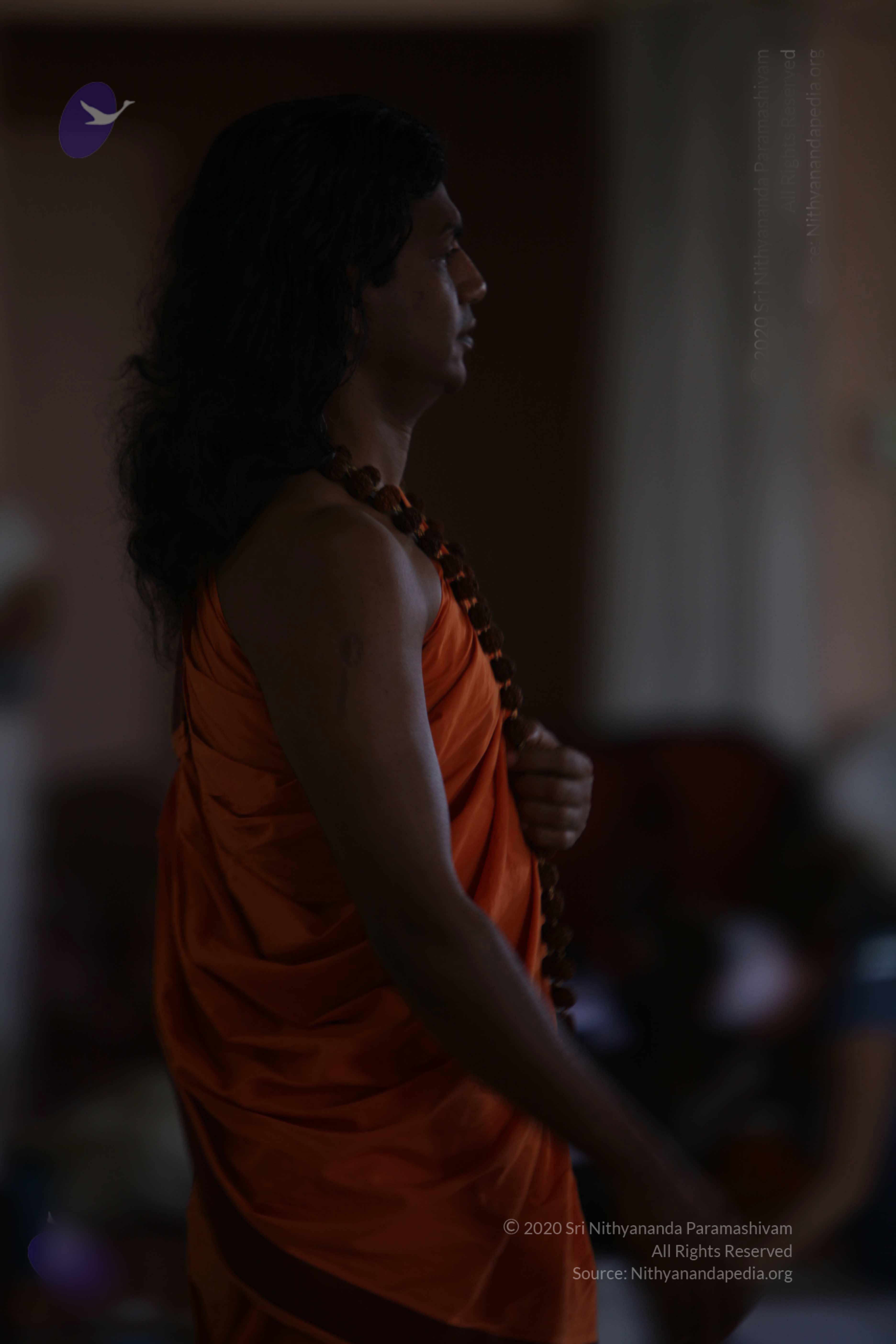 20110122_Photo_1103_batch_IMG_3028_CMP_WM