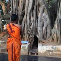 20110122_Photo_1113_IMG_2749_CMP_WM