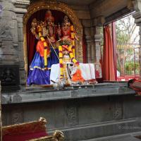 20110122_Photo_1138_IMG_2732_CMP_WM