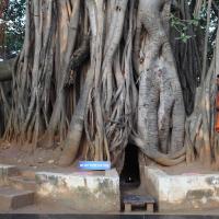 20110122_Photo_1153_IMG_2741_CMP_WM