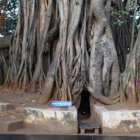 20110122_Photo_1203_IMG_2742_CMP_WM