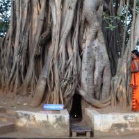 20110122_Photo_1215_IMG_2739_CMP_WM