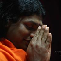 20110122_Photo_1220_IMG_3132_CMP_WM