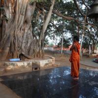 20110122_Photo_1223_IMG_2747_CMP_WM