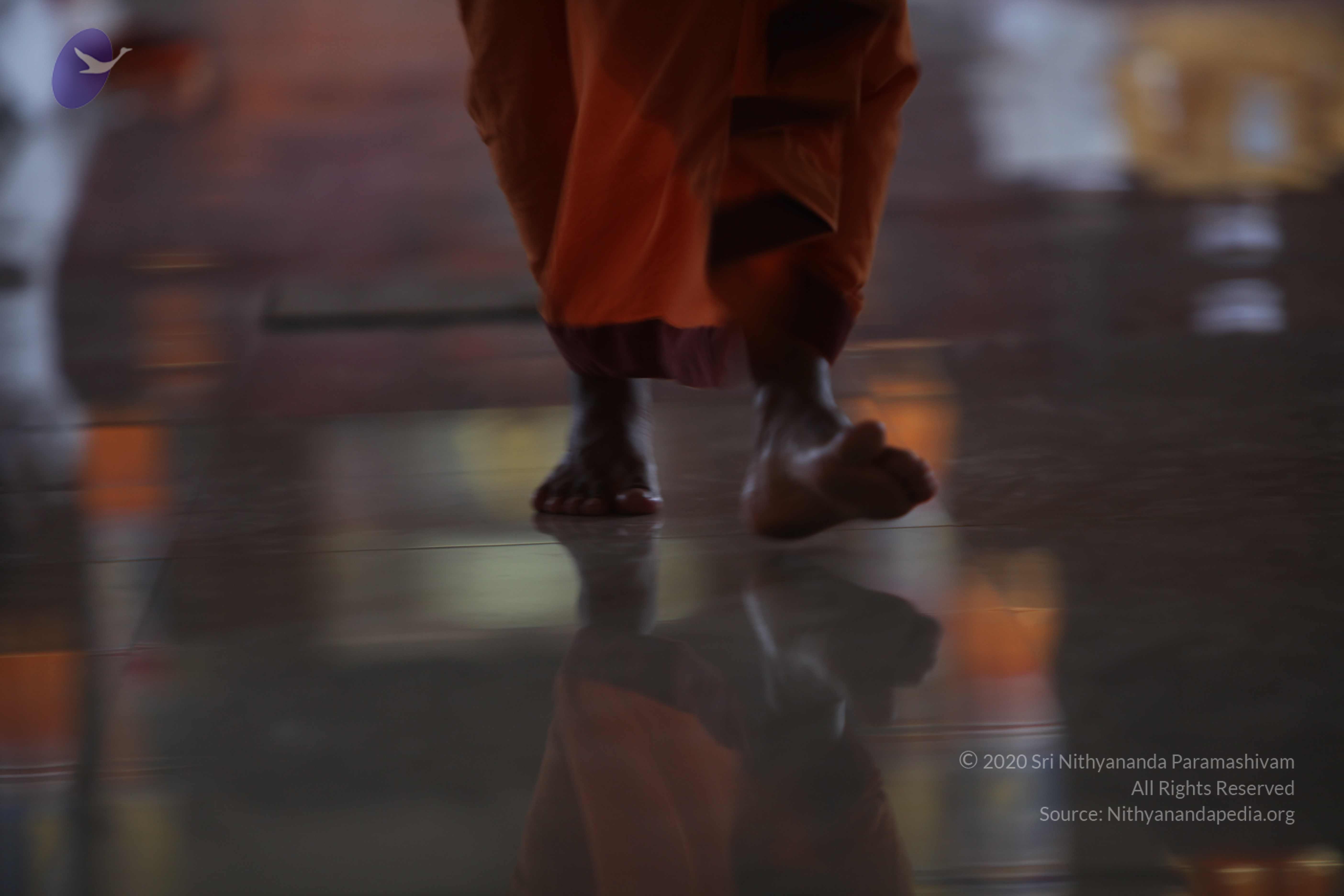 20110122_Photo_1236_IMG_3049_CMP_WM