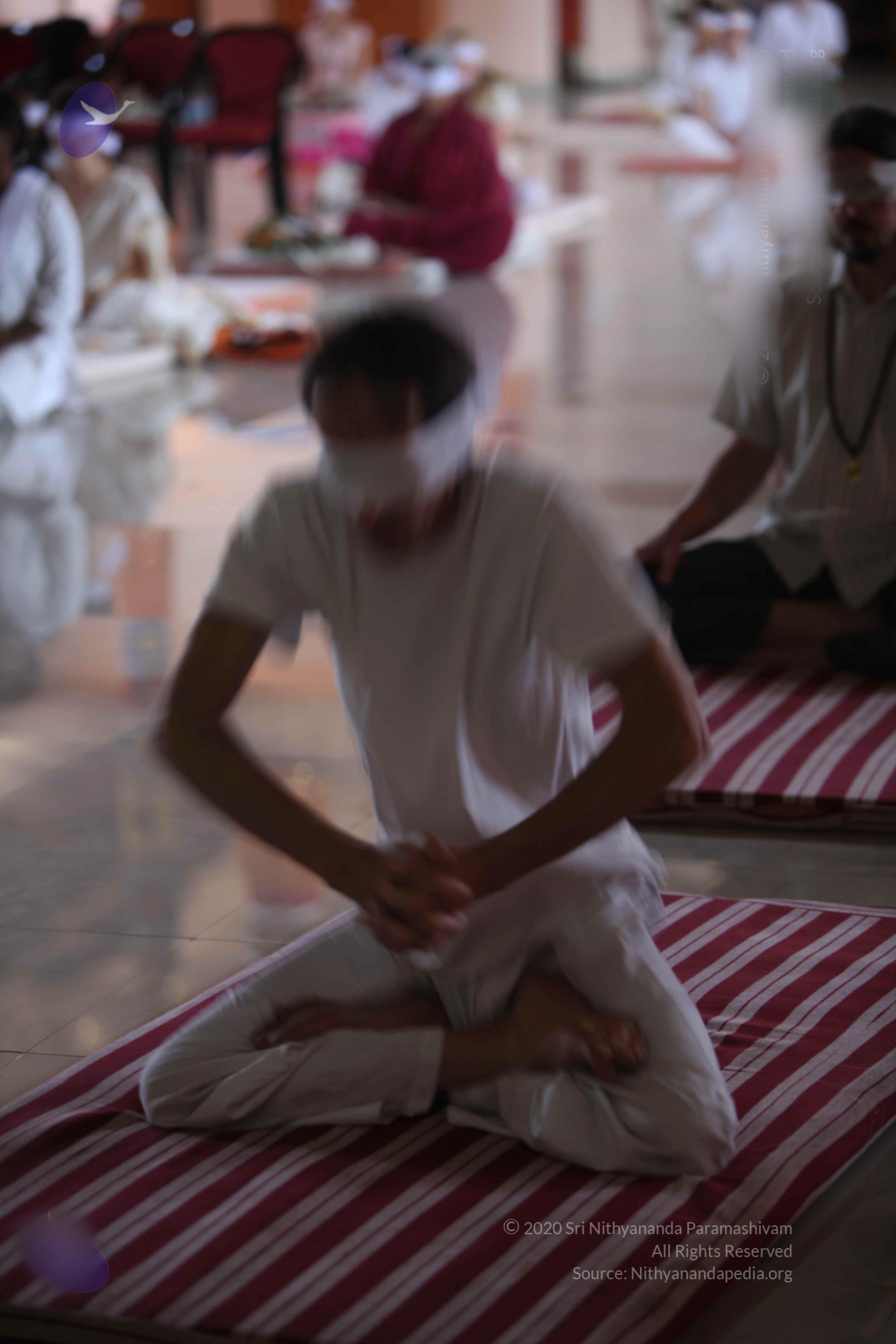 20110122_Photo_1273_batch_IMG_3007_CMP_WM