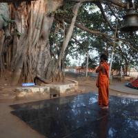 20110122_Photo_1290_IMG_2745_CMP_WM