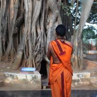 20110122_Photo_1298_IMG_2748_CMP_WM