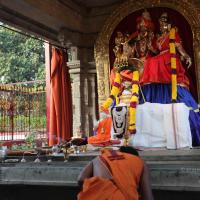 20110122_Photo_1305_IMG_2754_CMP_WM