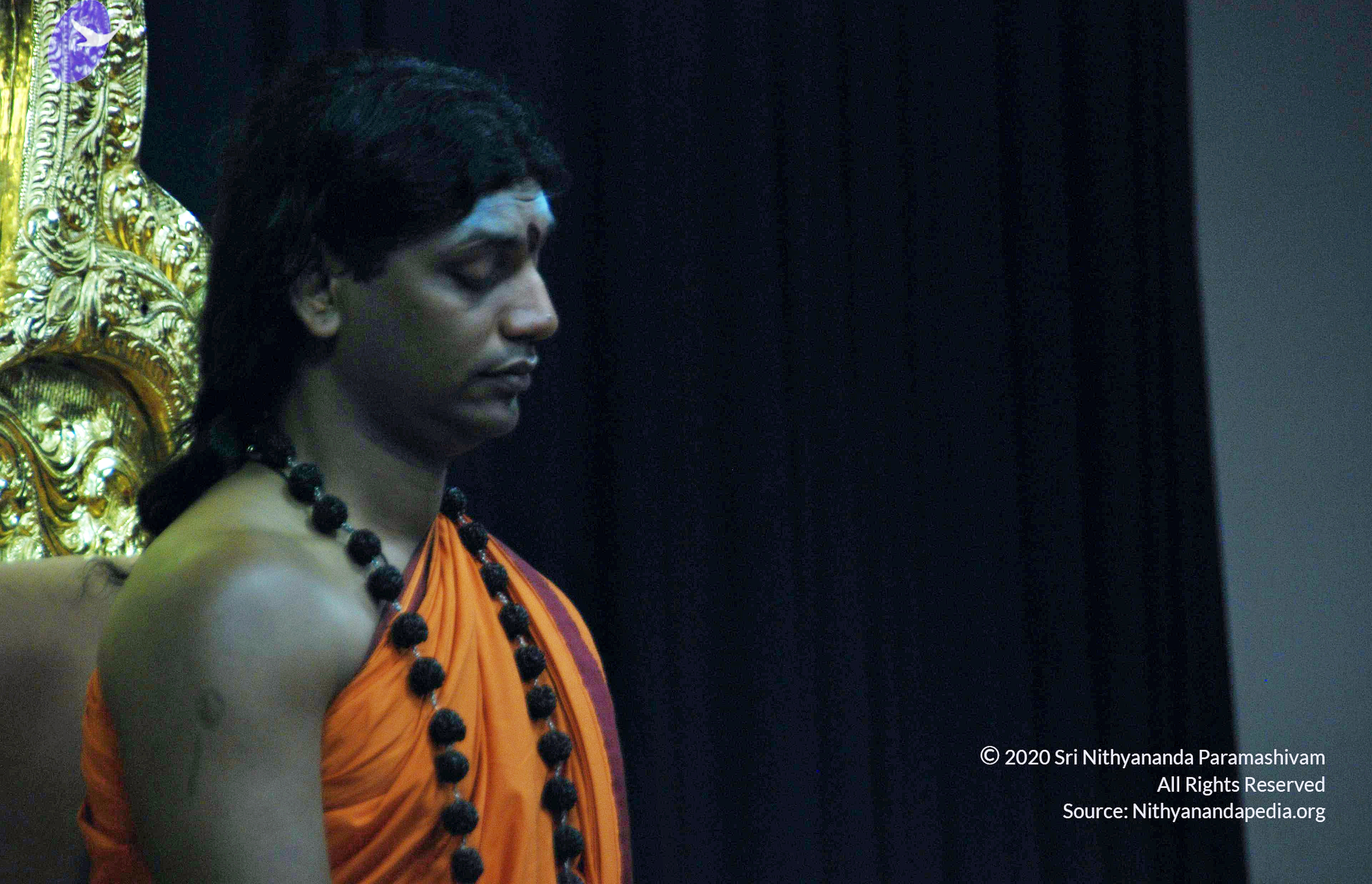 20110126_Photo_1010_DSC_5477_CMP_WM