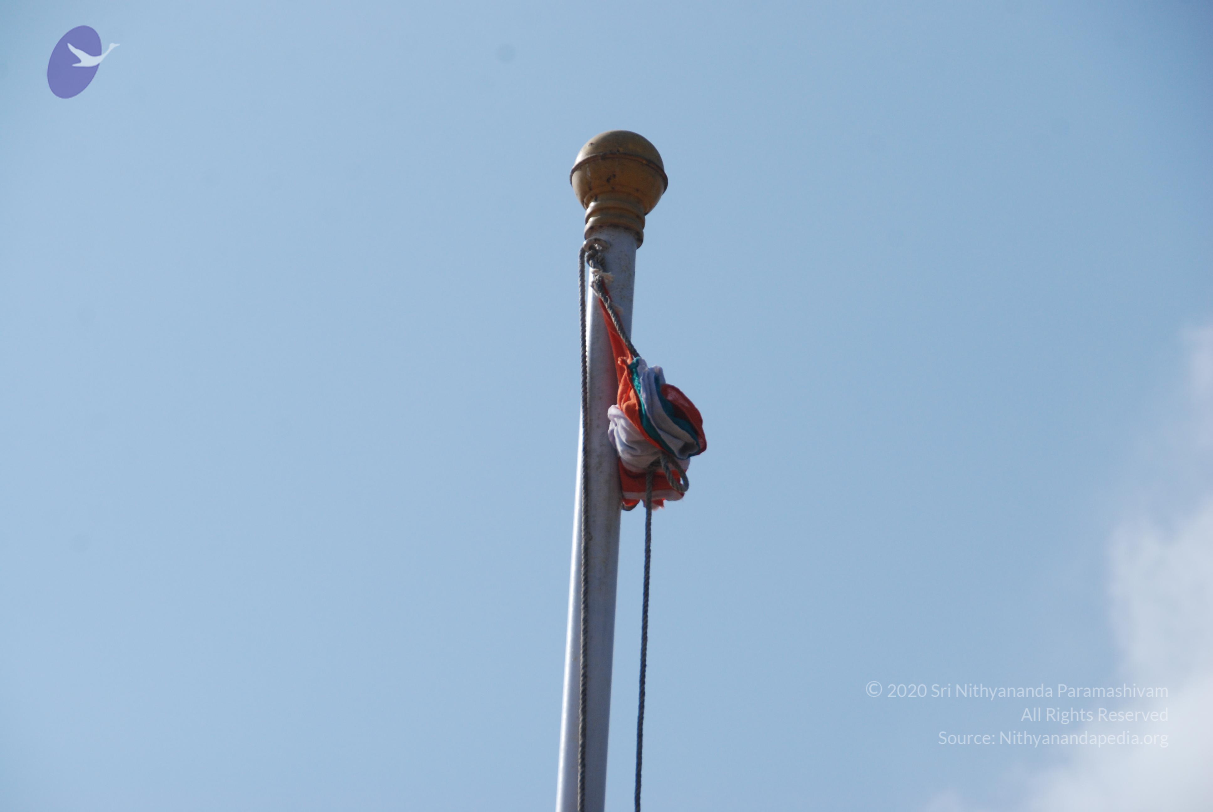 20110126_Photo_1030_DSC_5642_CMP_WM