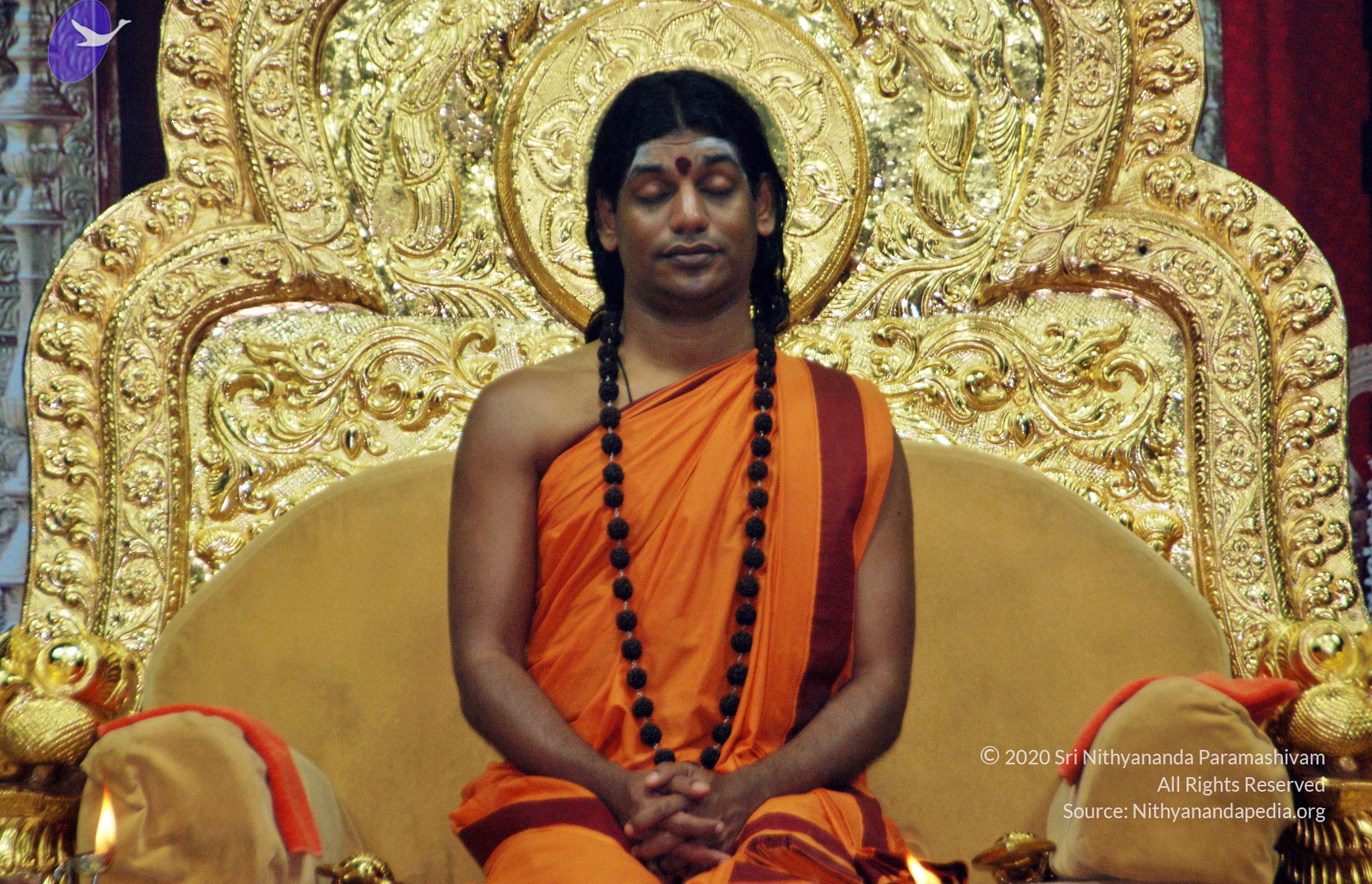 20110126_Photo_1001_DSC_5522_CMP_WM