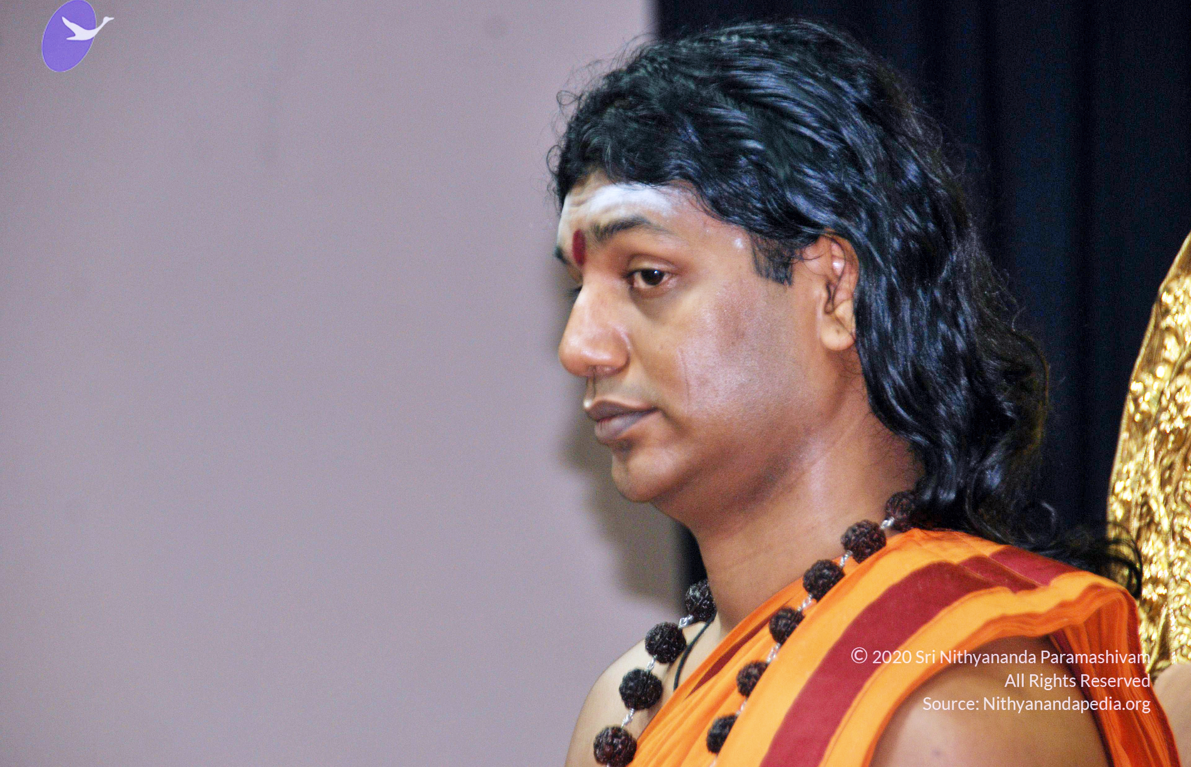 20110126_Photo_1005_DSC_5491_CMP_WM