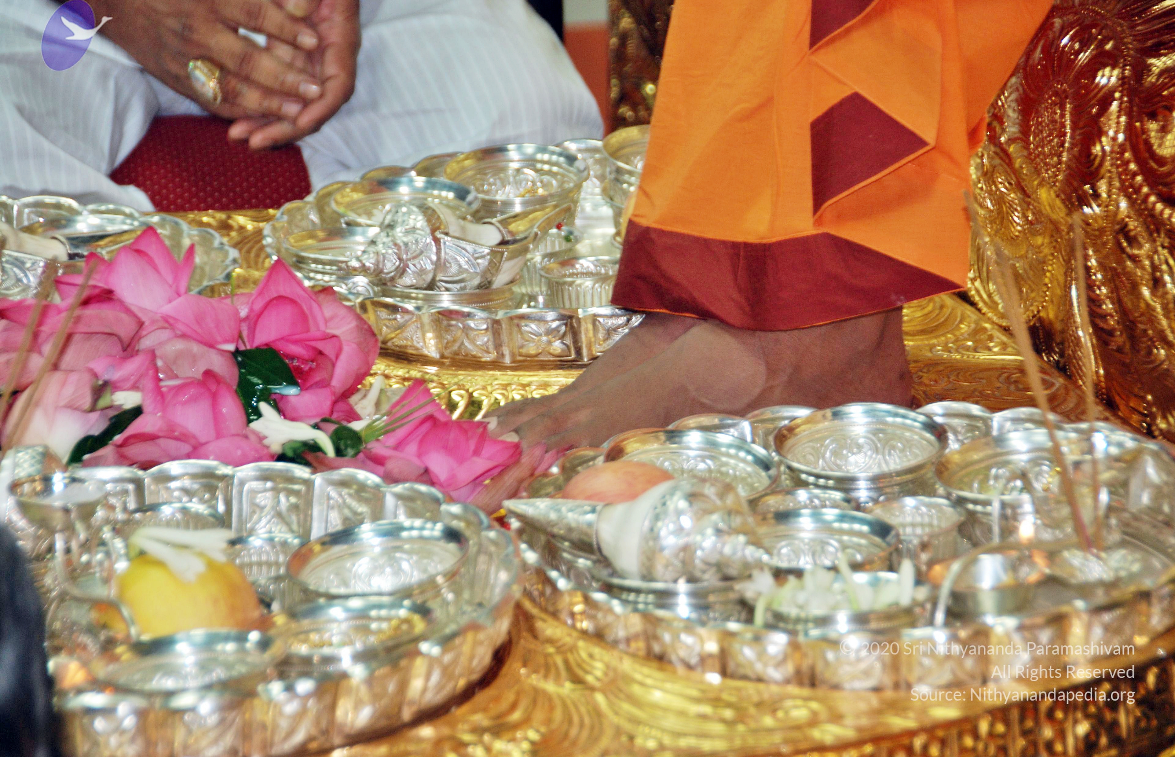 20110126_Photo_1009_DSC_5488_CMP_WM