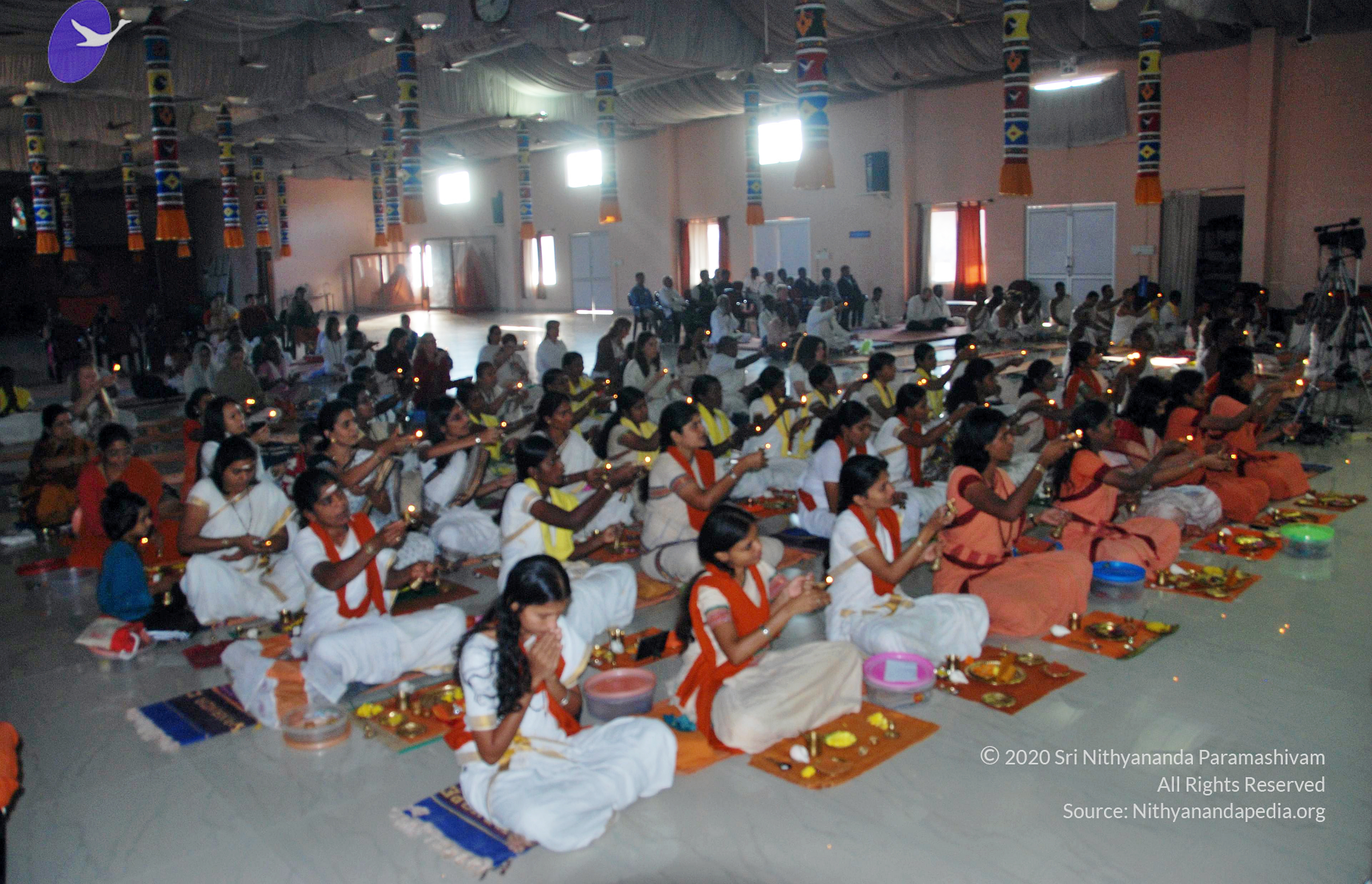 20110126_Photo_1013_DSC_5510_CMP_WM