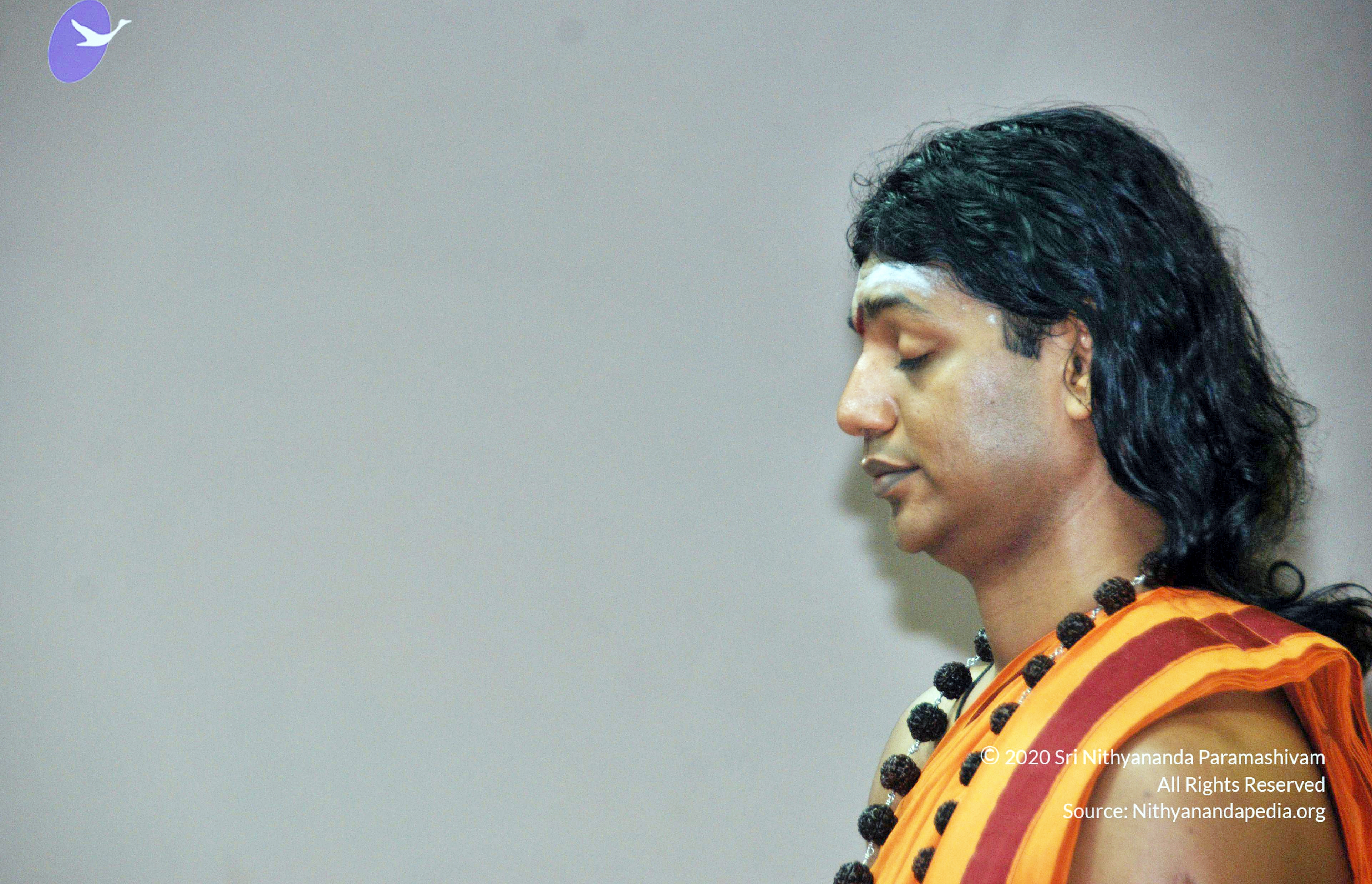 20110126_Photo_1016_DSC_5485_CMP_WM