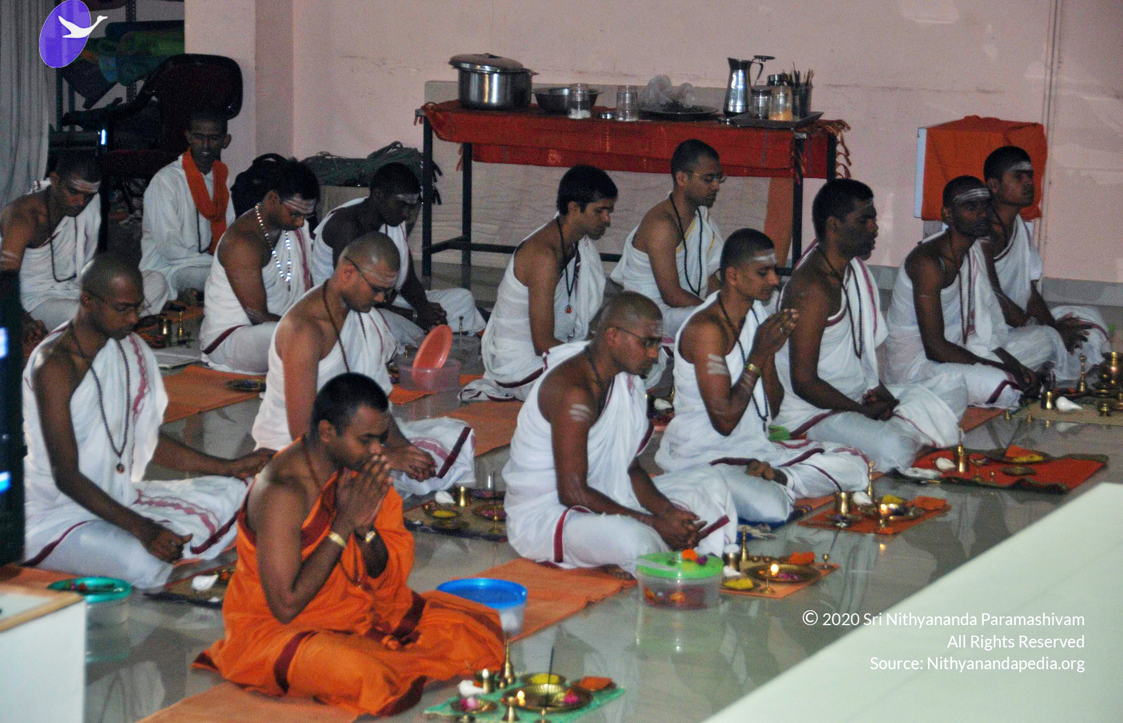 20110126_Photo_1025_DSC_5496_CMP_WM