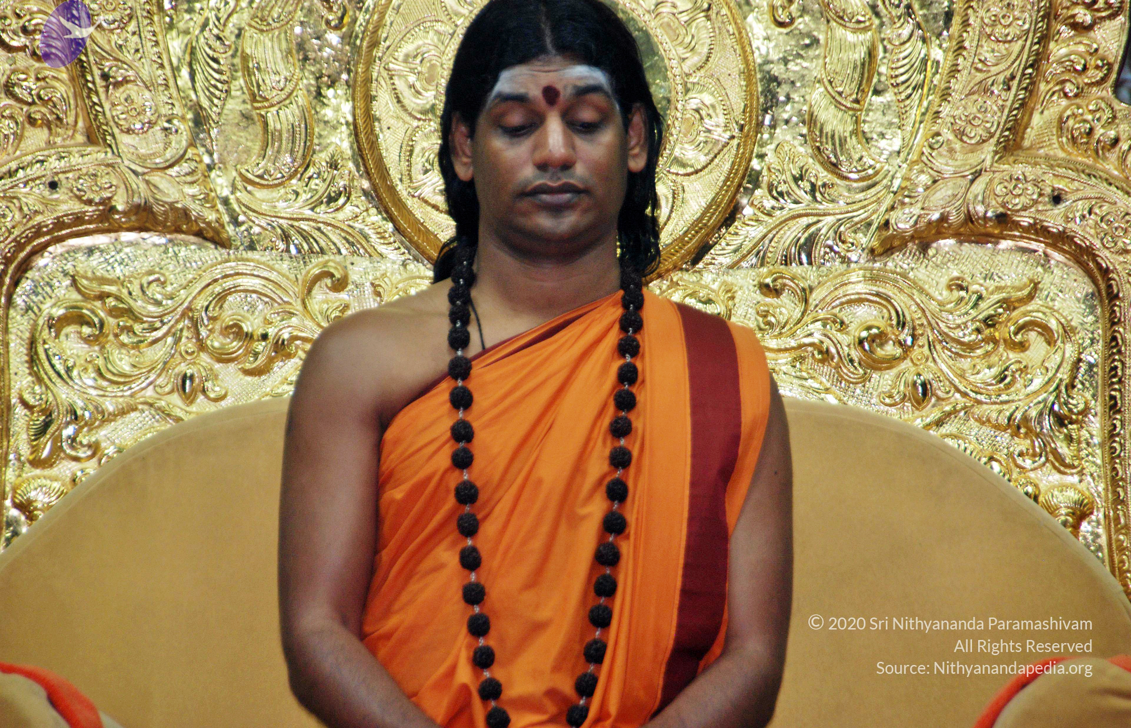 20110126_Photo_1030_DSC_5525_CMP_WM