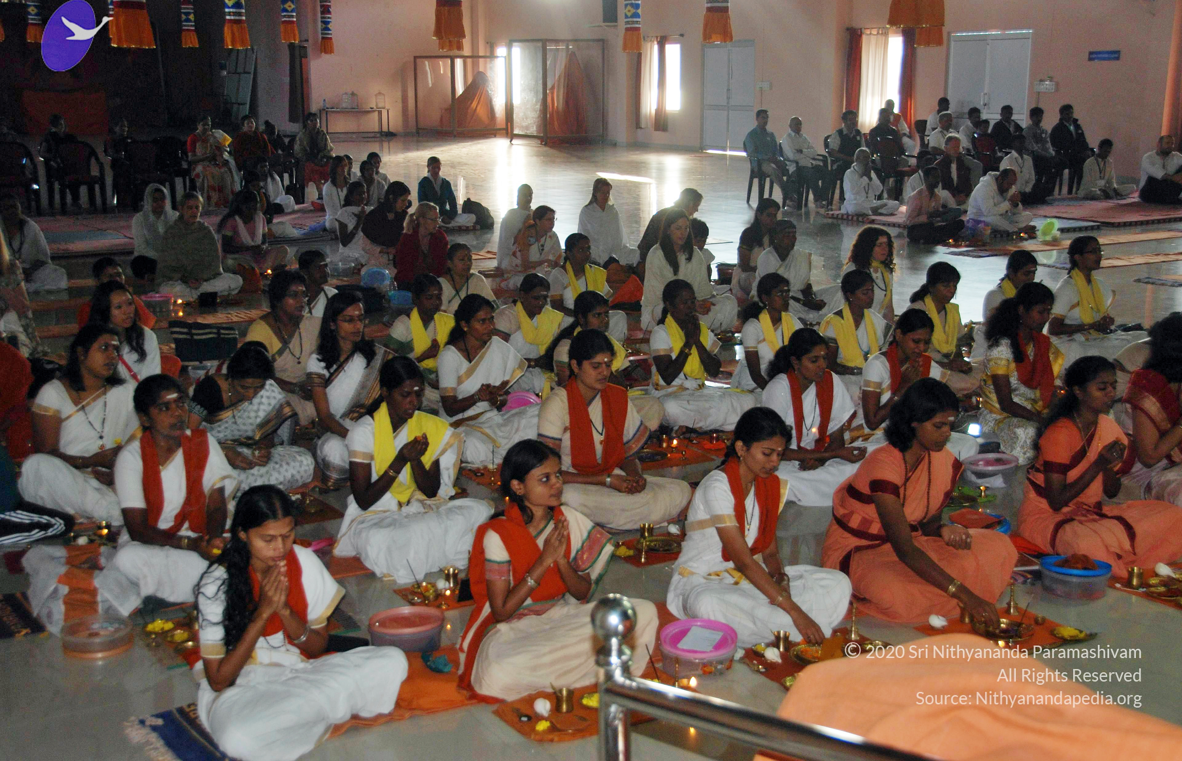 20110126_Photo_1034_DSC_5500_CMP_WM