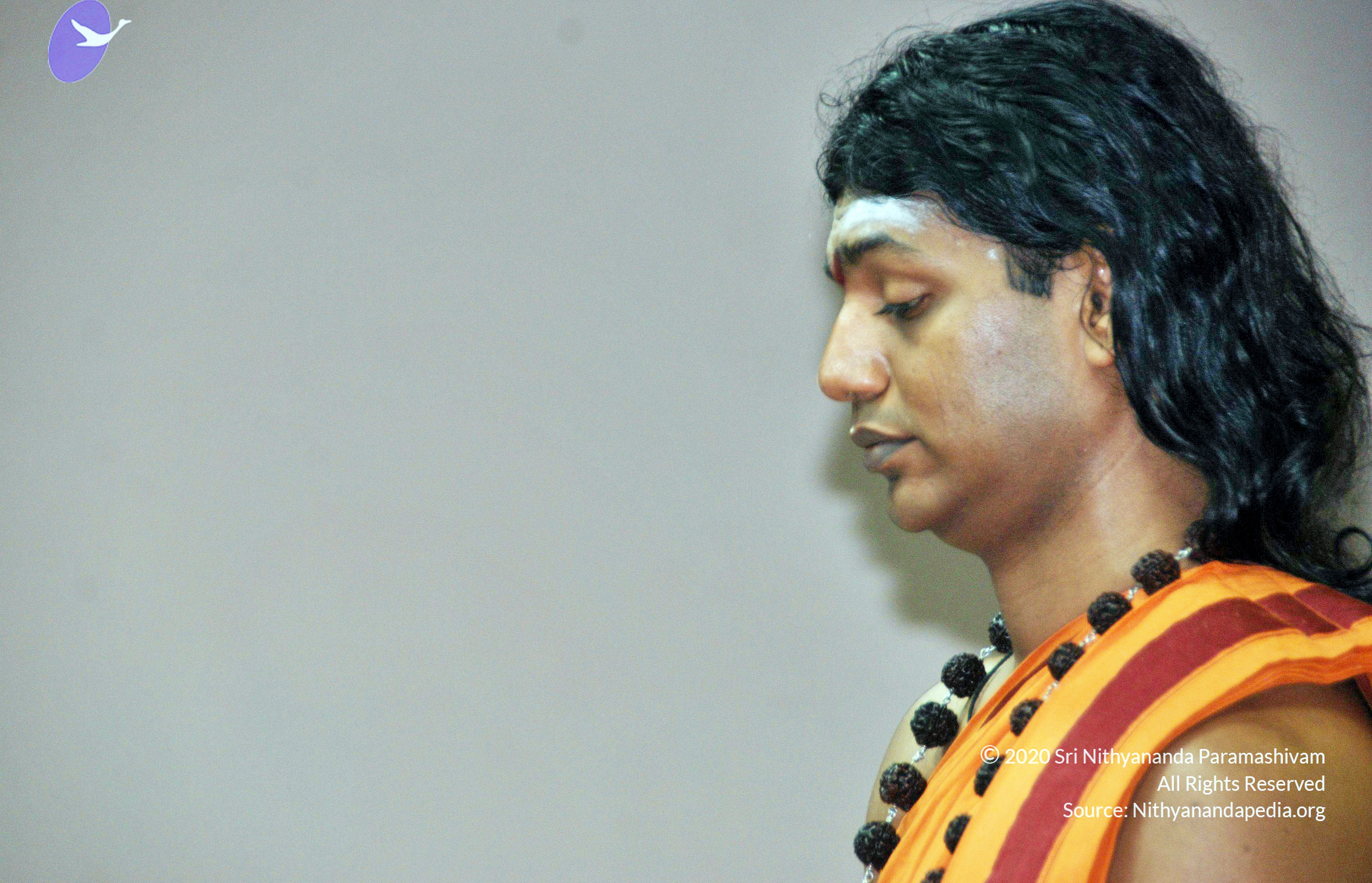 20110126_Photo_1040_DSC_5484_CMP_WM