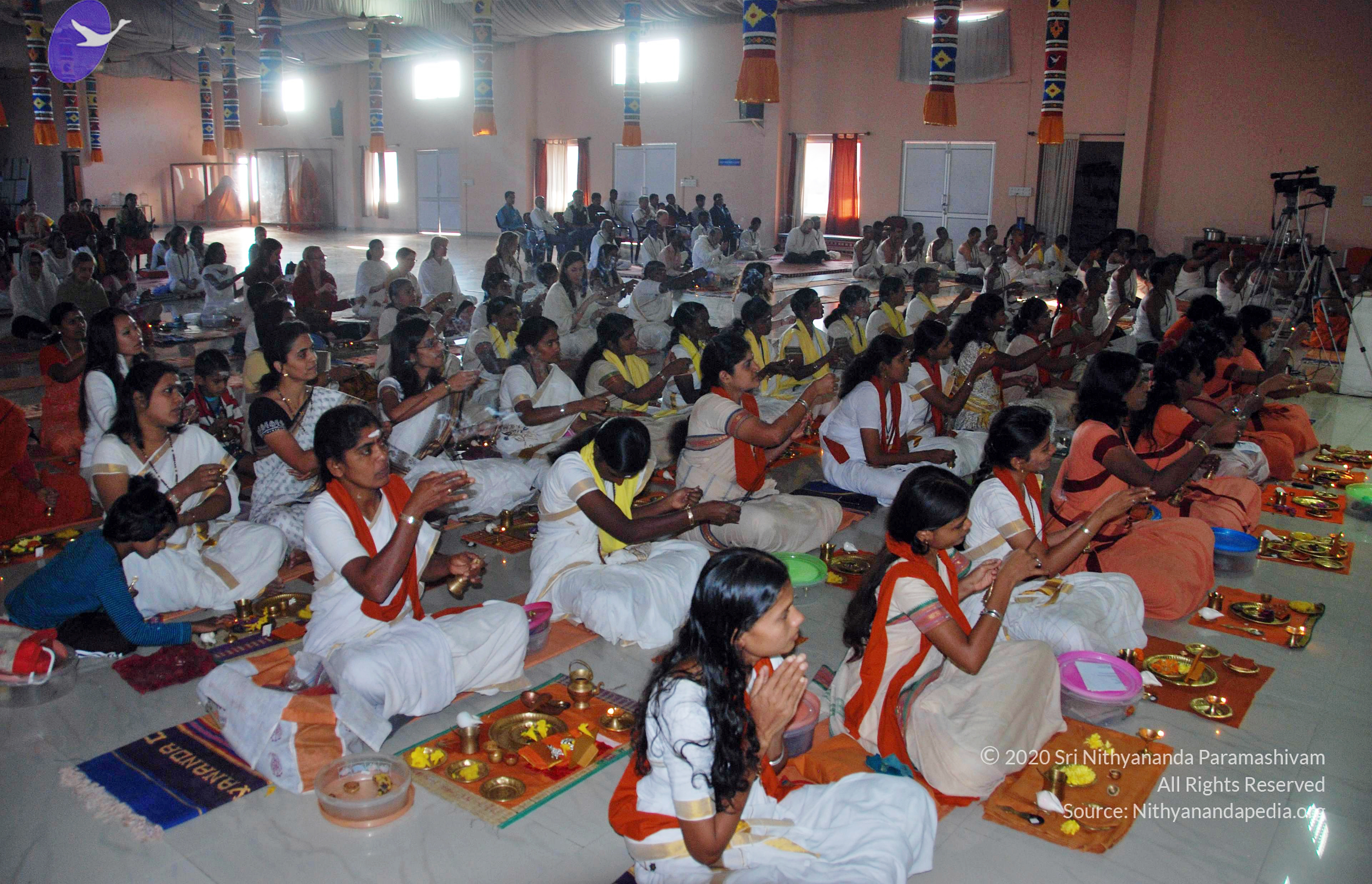 20110126_Photo_1044_DSC_5508_CMP_WM