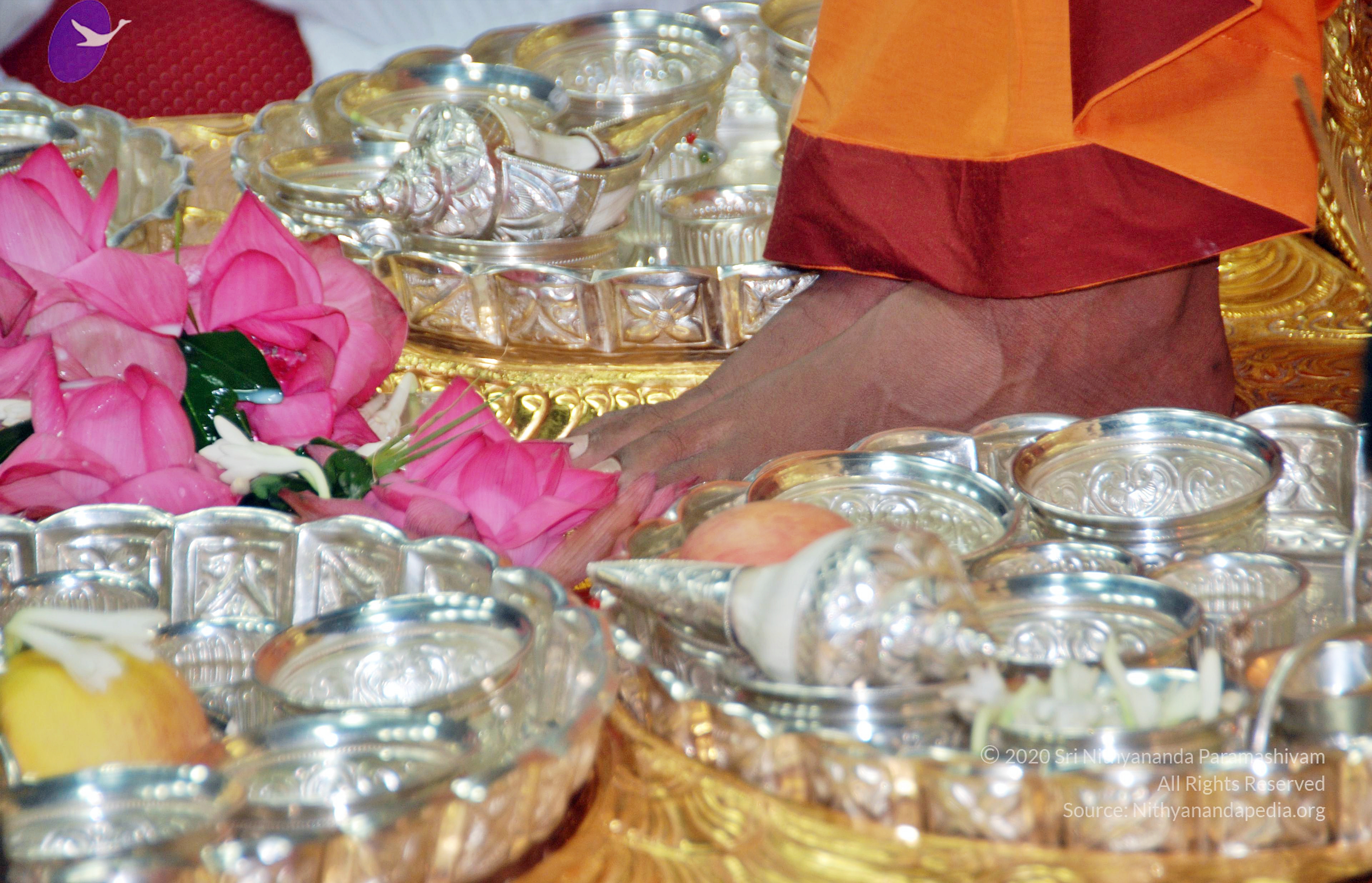 20110126_Photo_1046_DSC_5490_CMP_WM