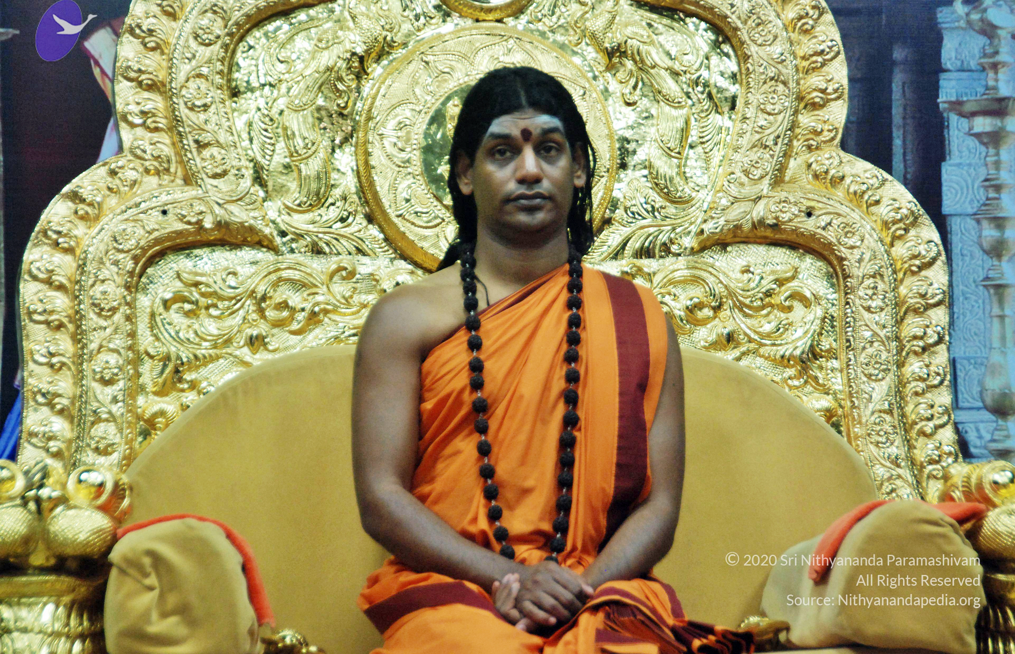 20110126_Photo_1050_DSC_5474_CMP_WM