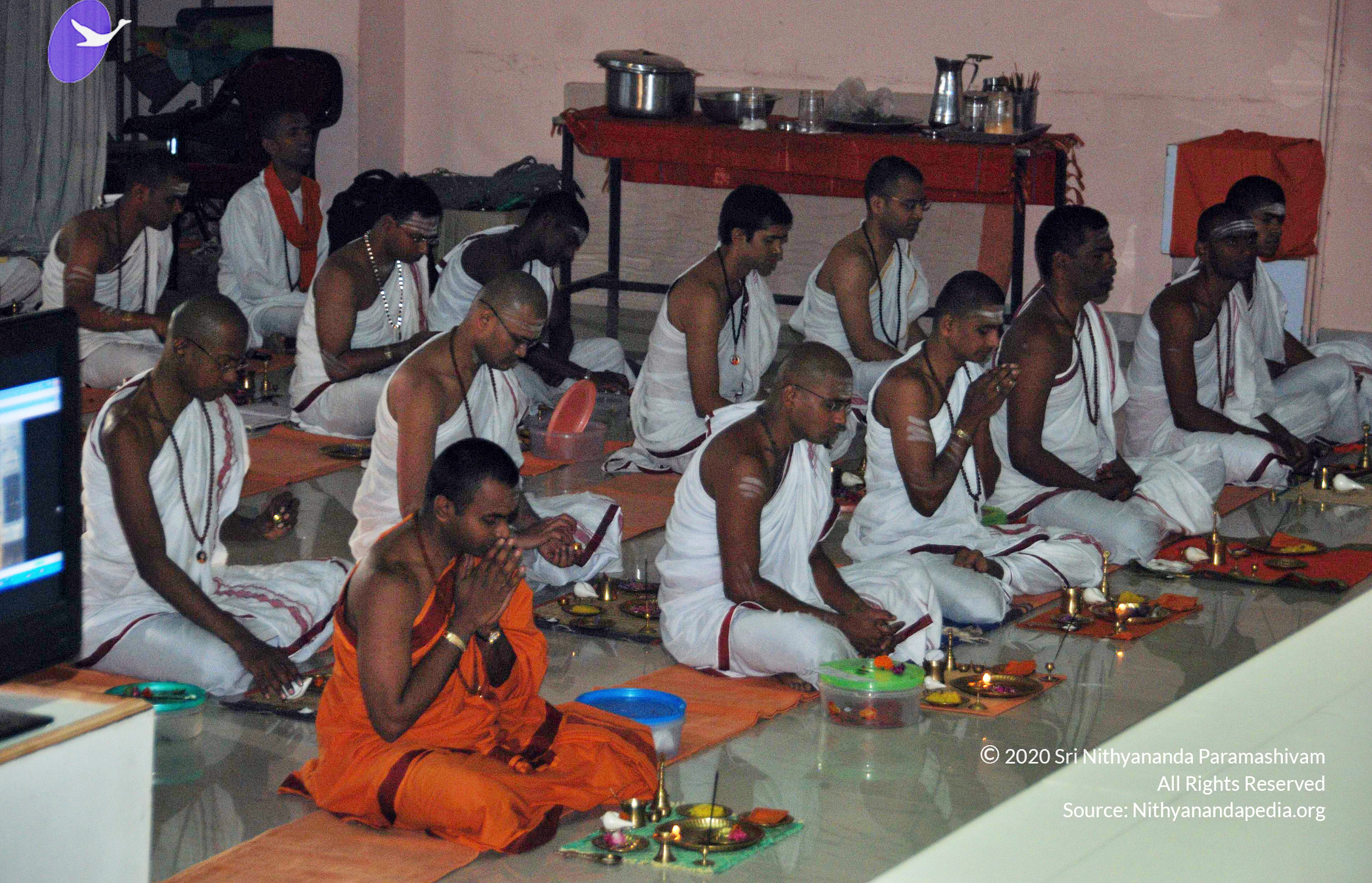 20110126_Photo_1053_DSC_5497_CMP_WM