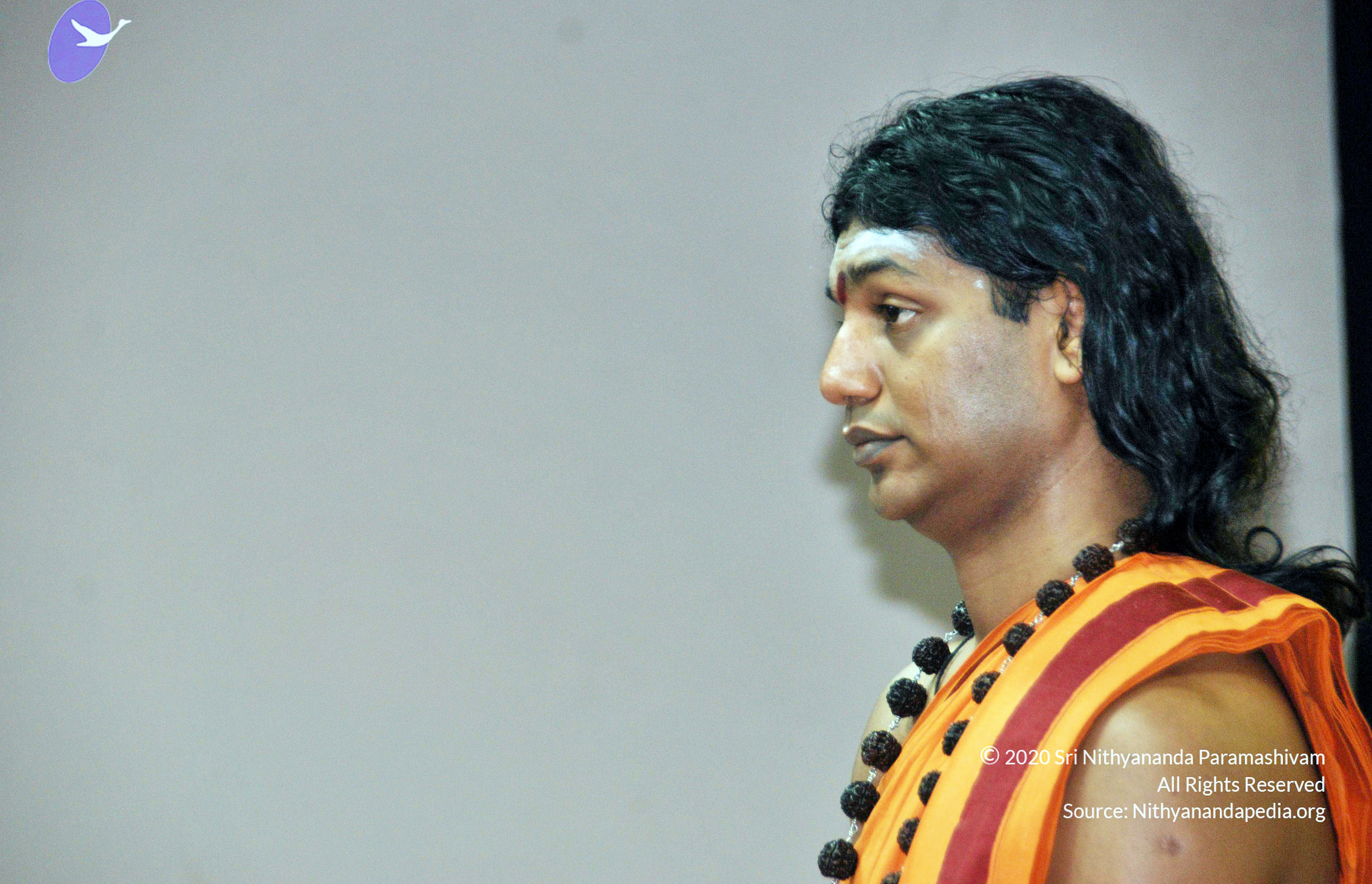 20110126_Photo_1054_DSC_5486_CMP_WM