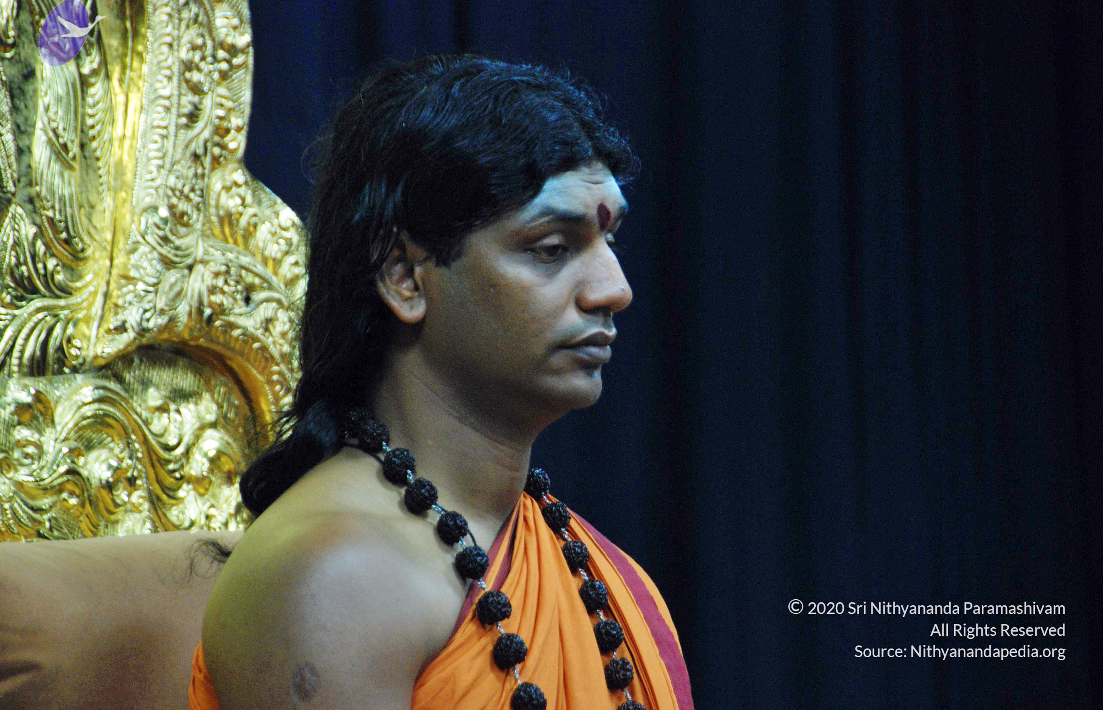 20110126_Photo_1055_DSC_5479_CMP_WM