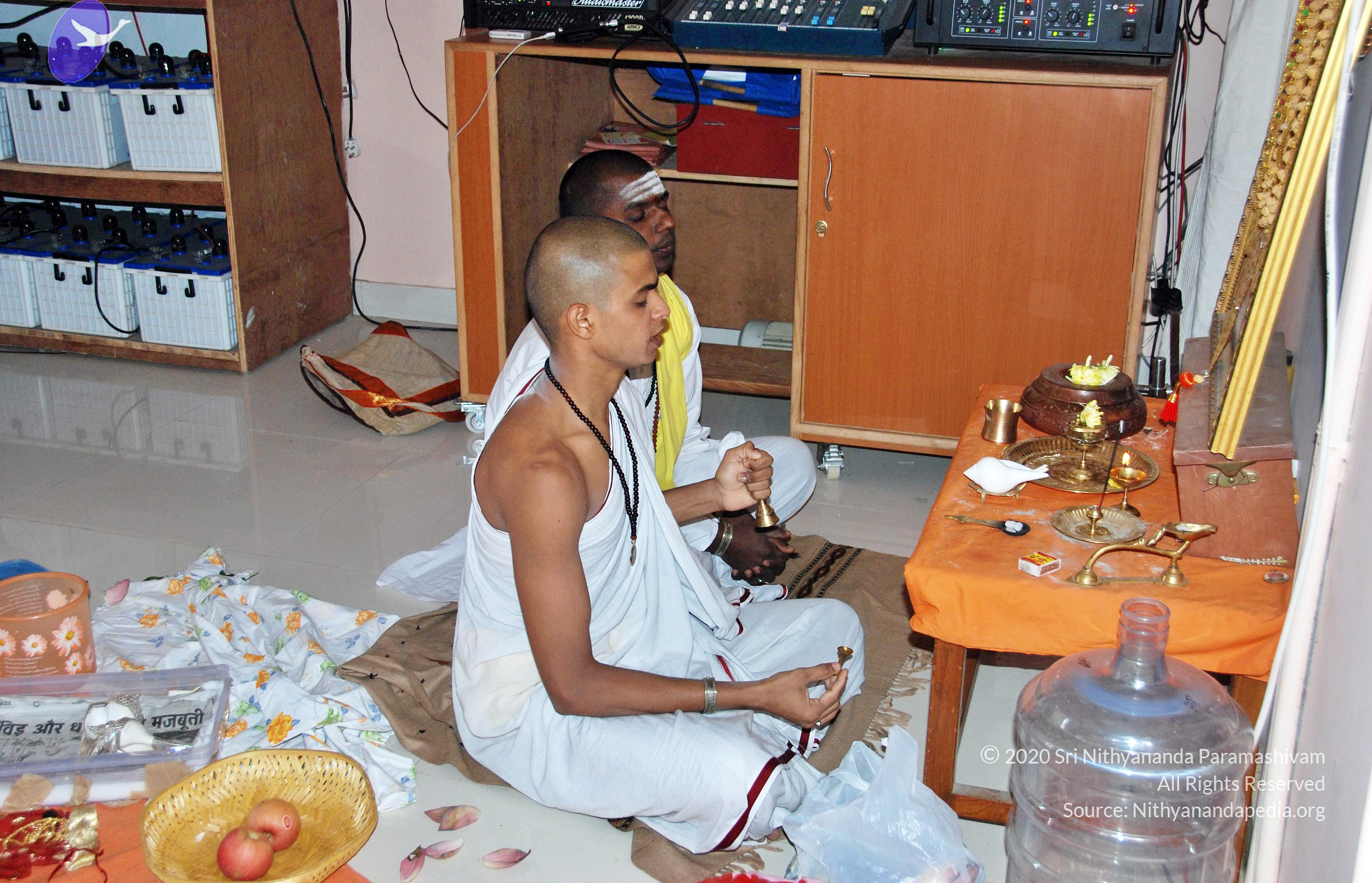 20110126_Photo_1059_DSC_5483_CMP_WM