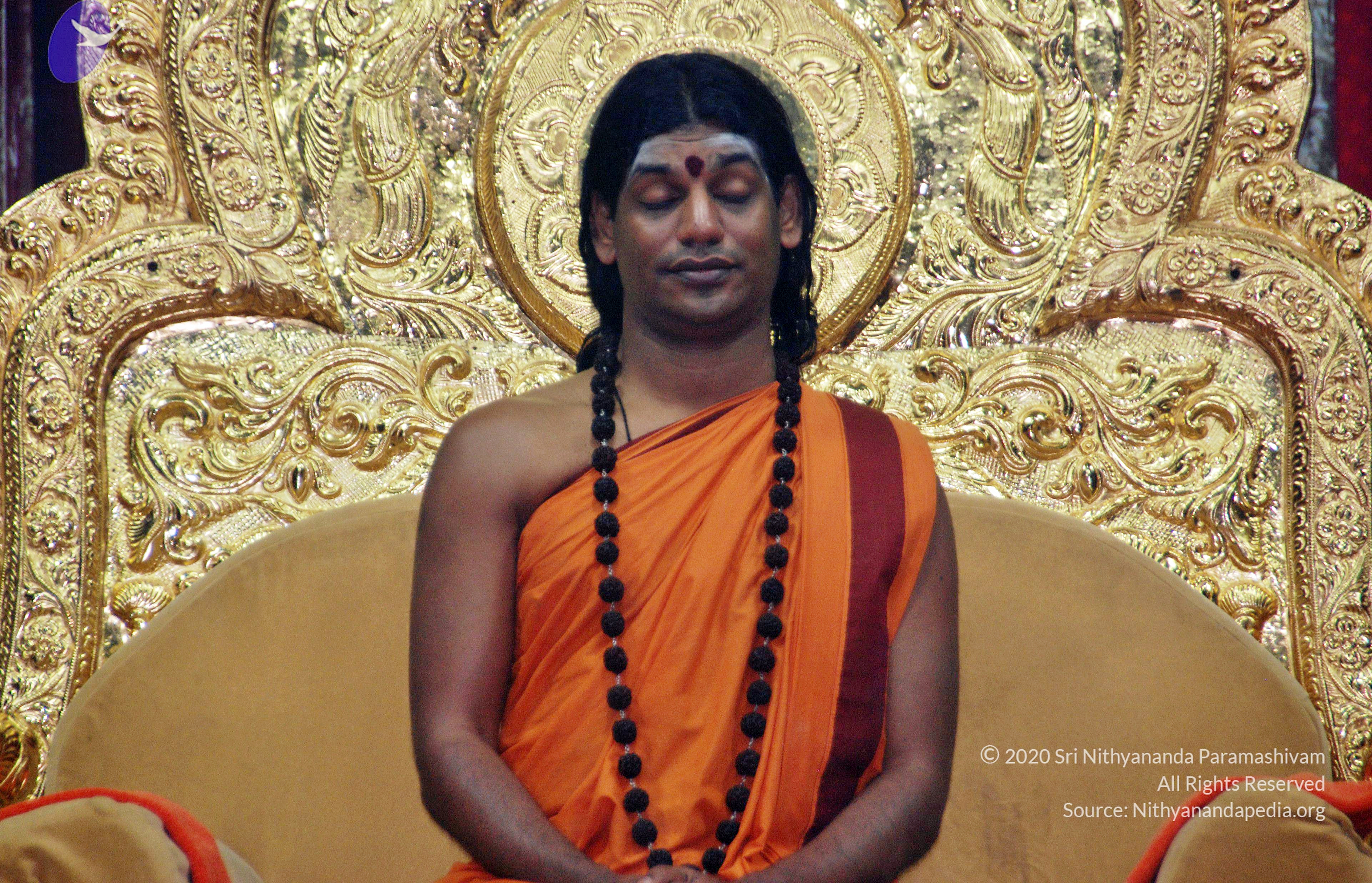 20110126_Photo_1060_DSC_5521_CMP_WM