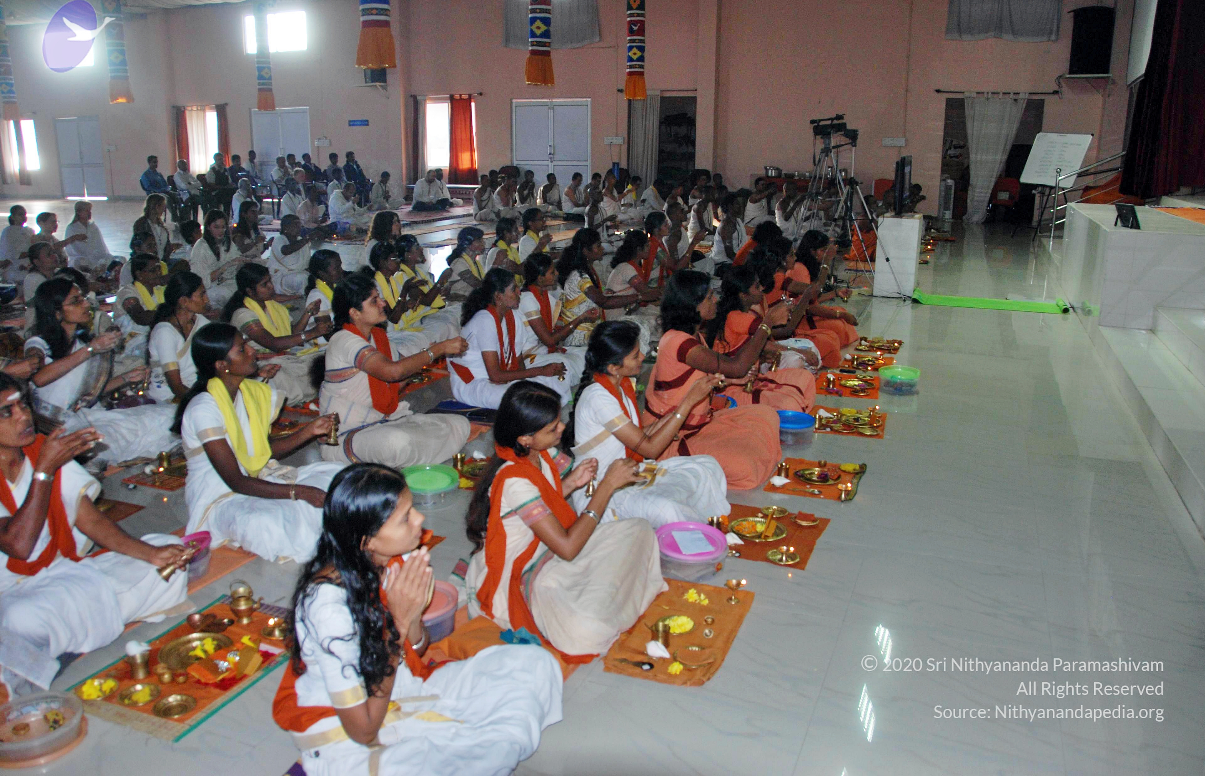 20110126_Photo_1064_DSC_5507_CMP_WM