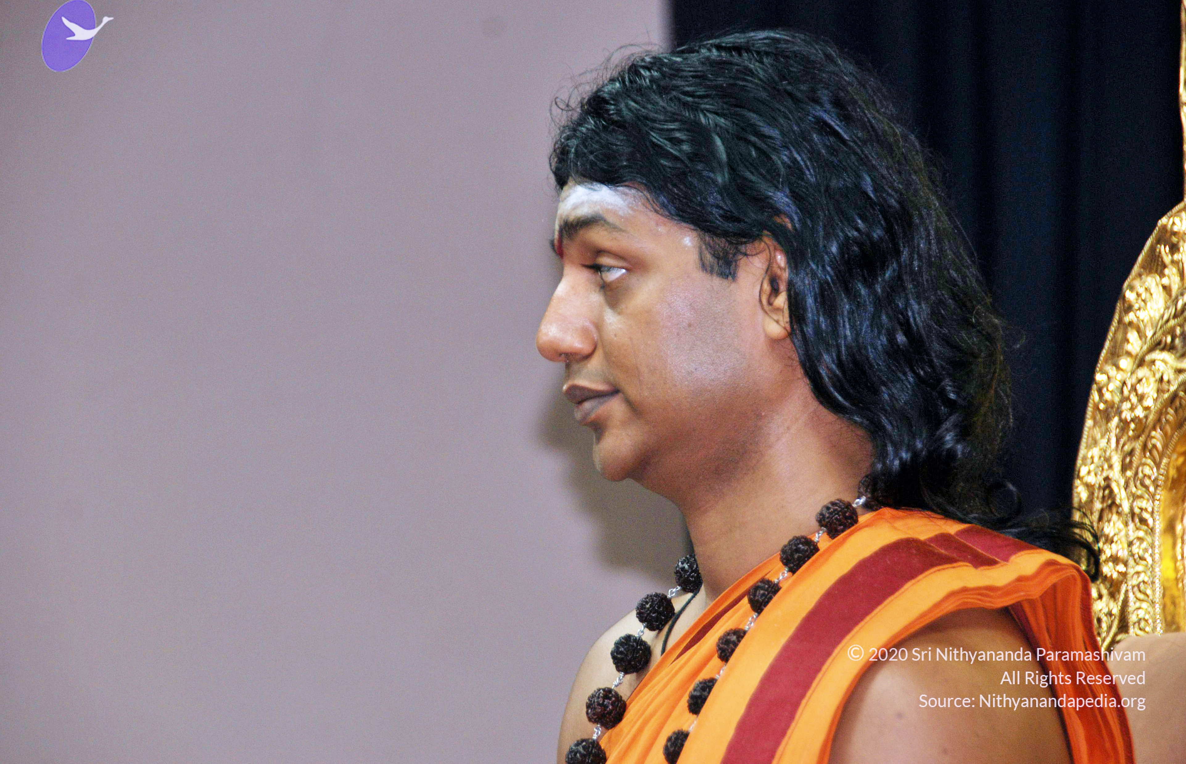 20110126_Photo_1065_DSC_5492_CMP_WM