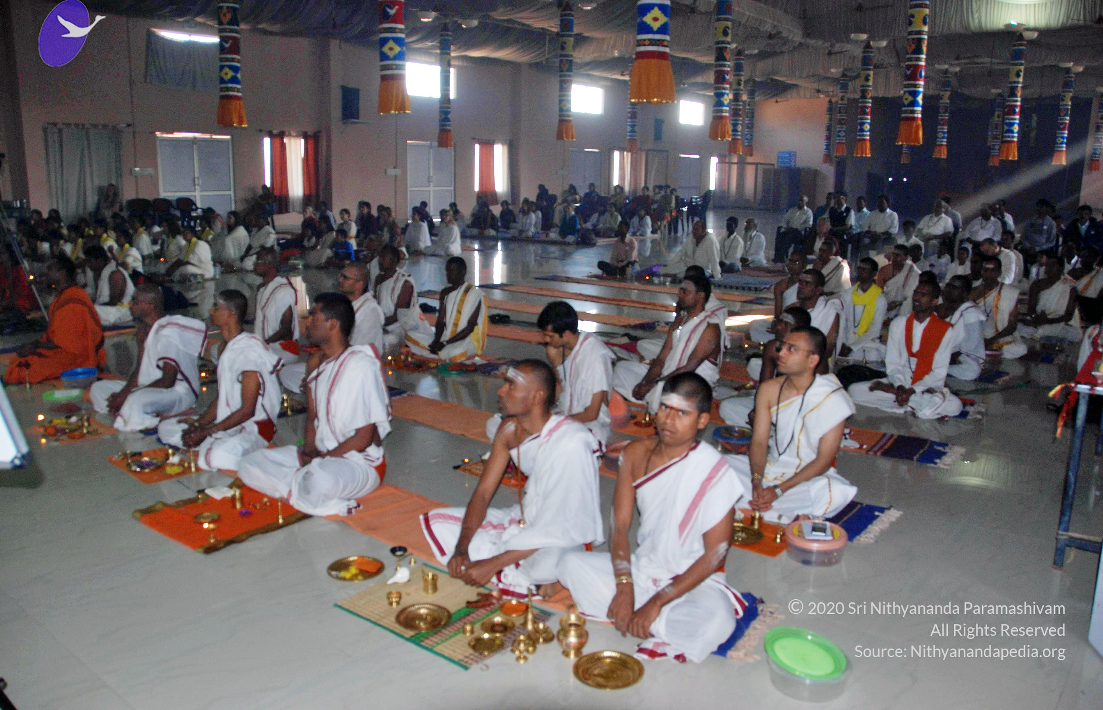 20110126_Photo_1025_DSC_5549_CMP_WM