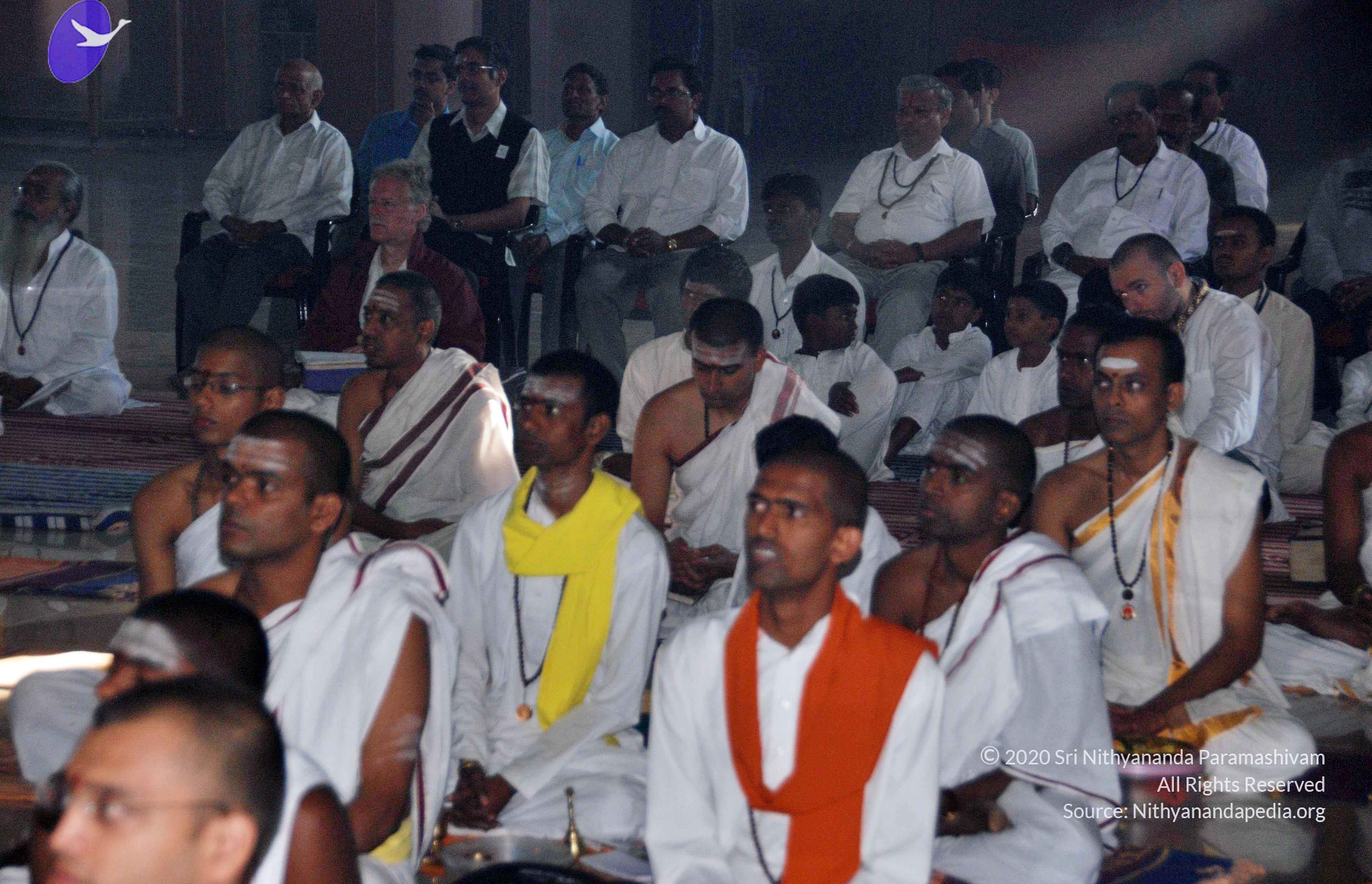 20110126_Photo_1038_DSC_5550_CMP_WM