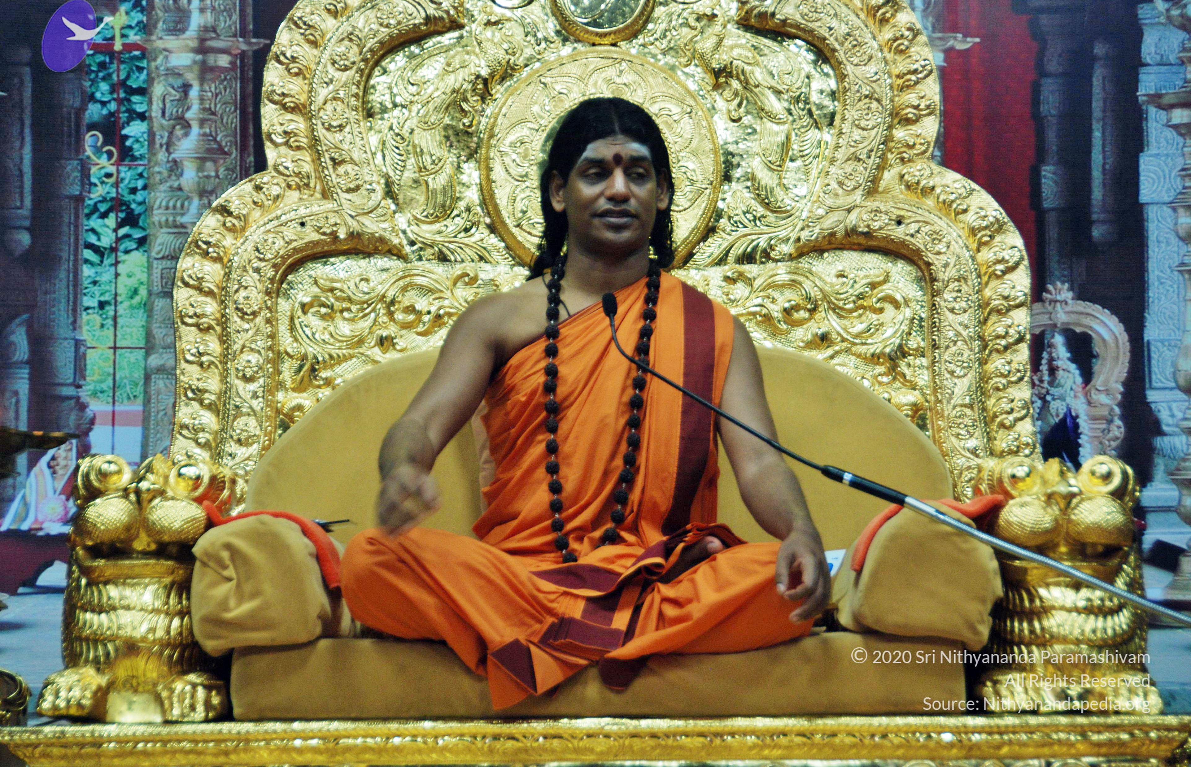 20110126_Photo_1046_DSC_5565_CMP_WM