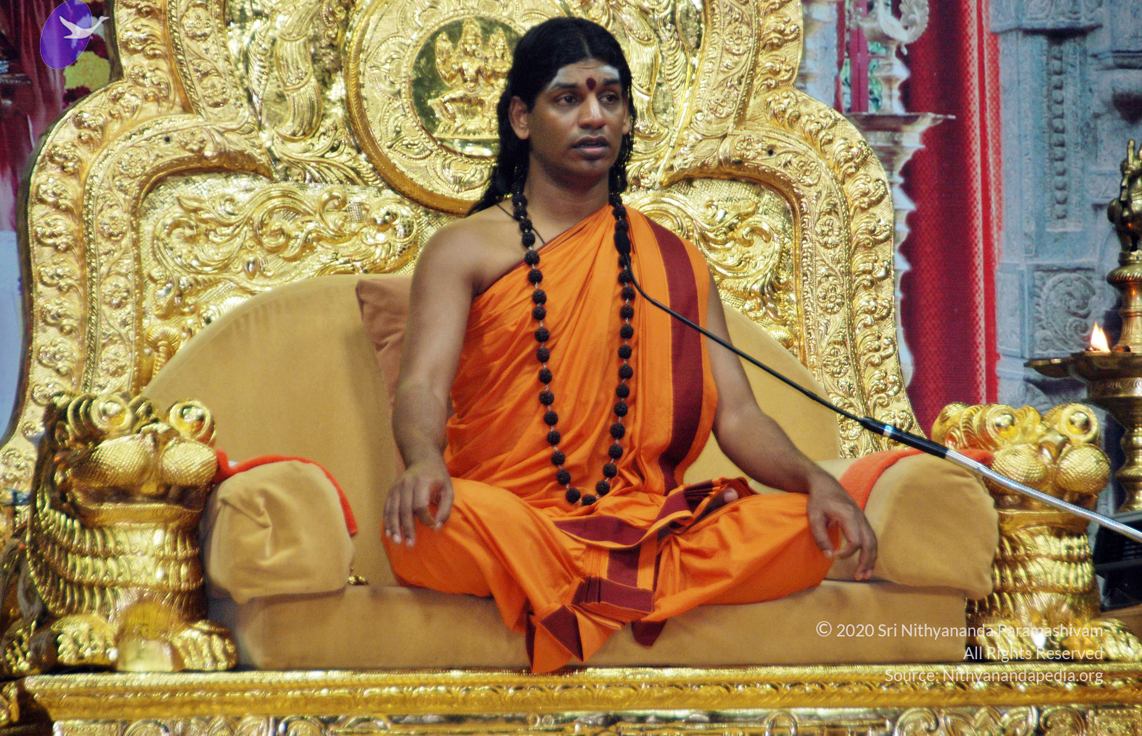 20110126_Photo_1047_DSC_5586_CMP_WM