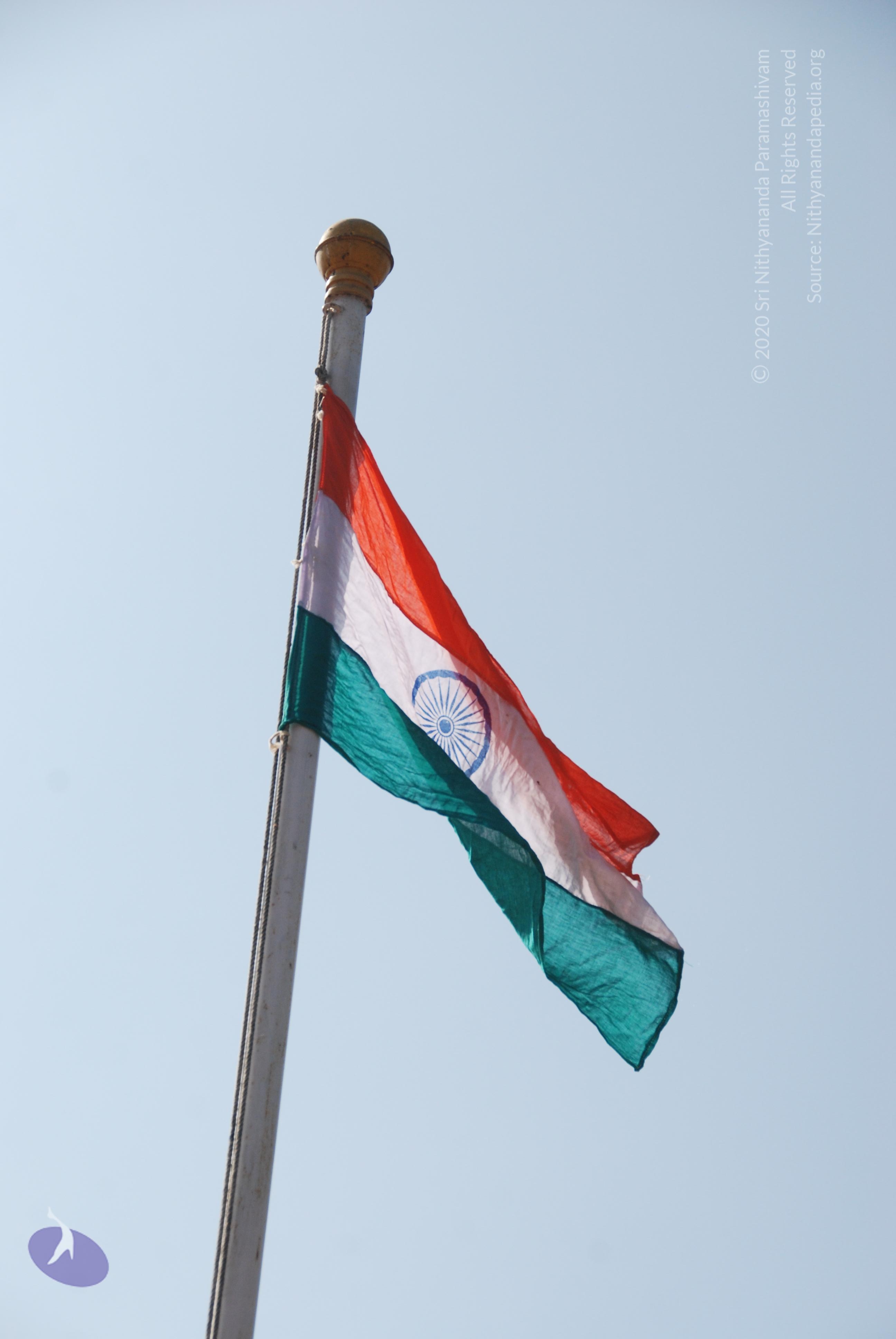 20110126_Photo_1036_DSC_5653_CMP_WM