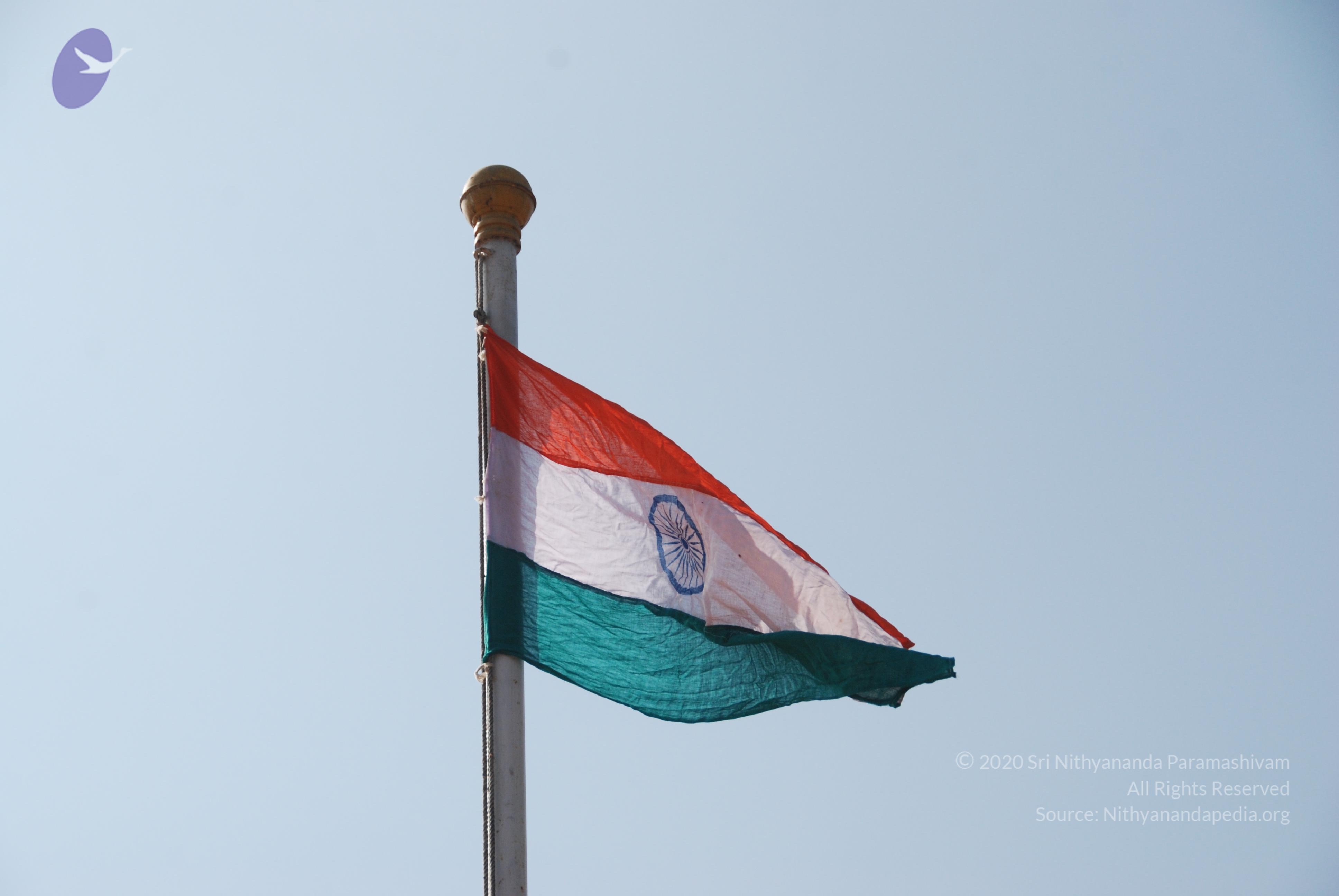 20110126_Photo_1053_DSC_5654_CMP_WM